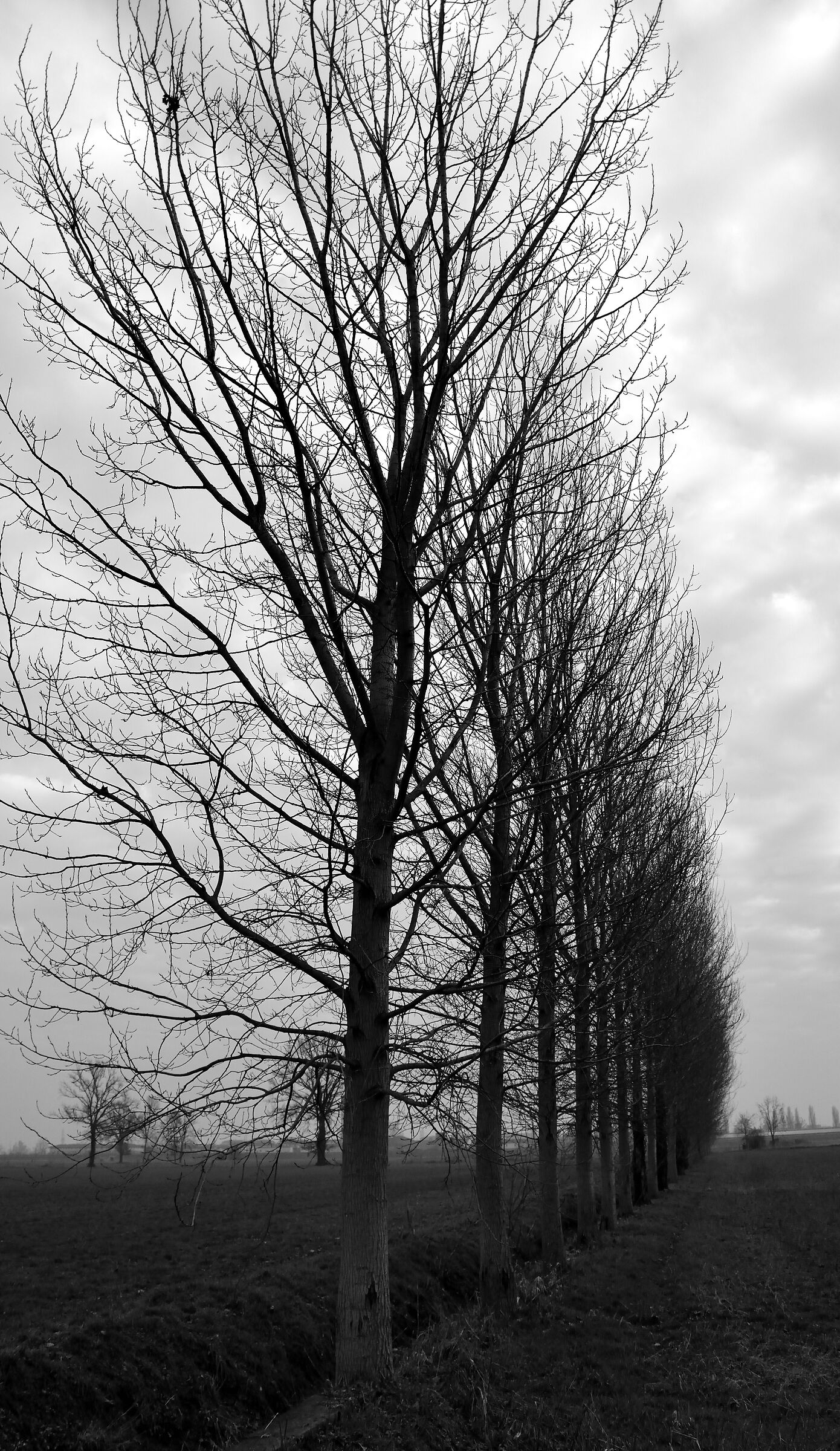 Campagna