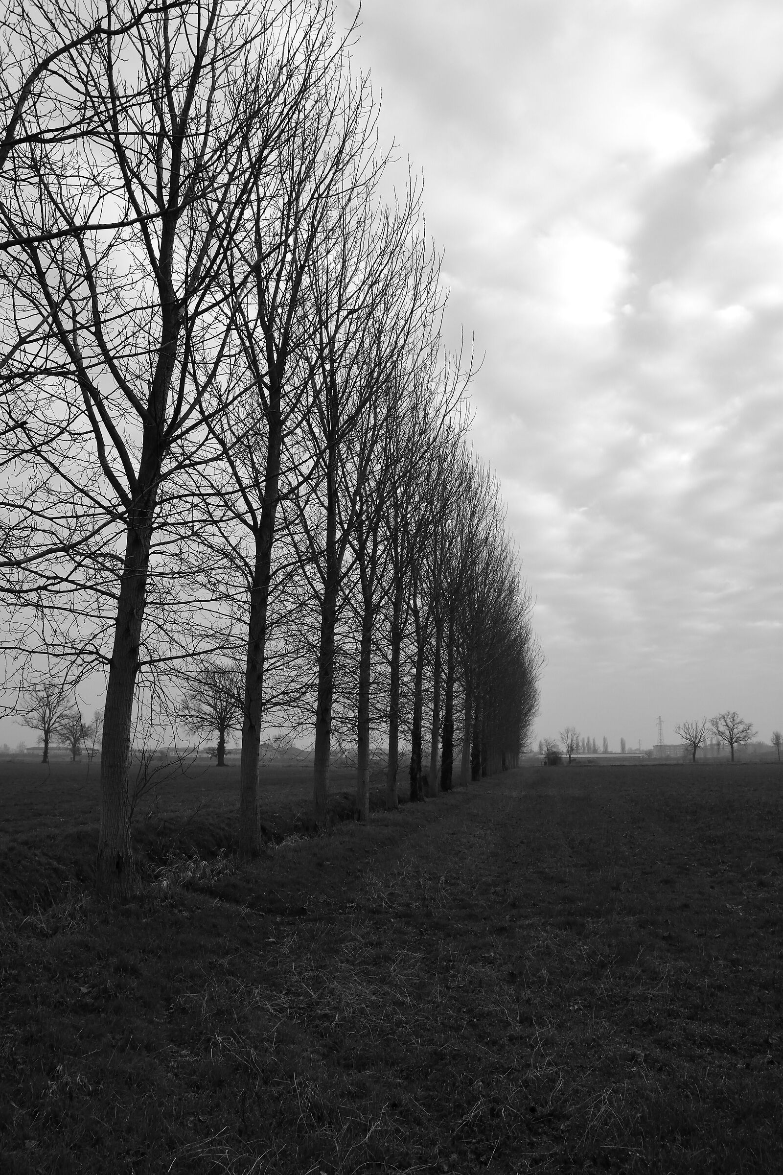 Campagna