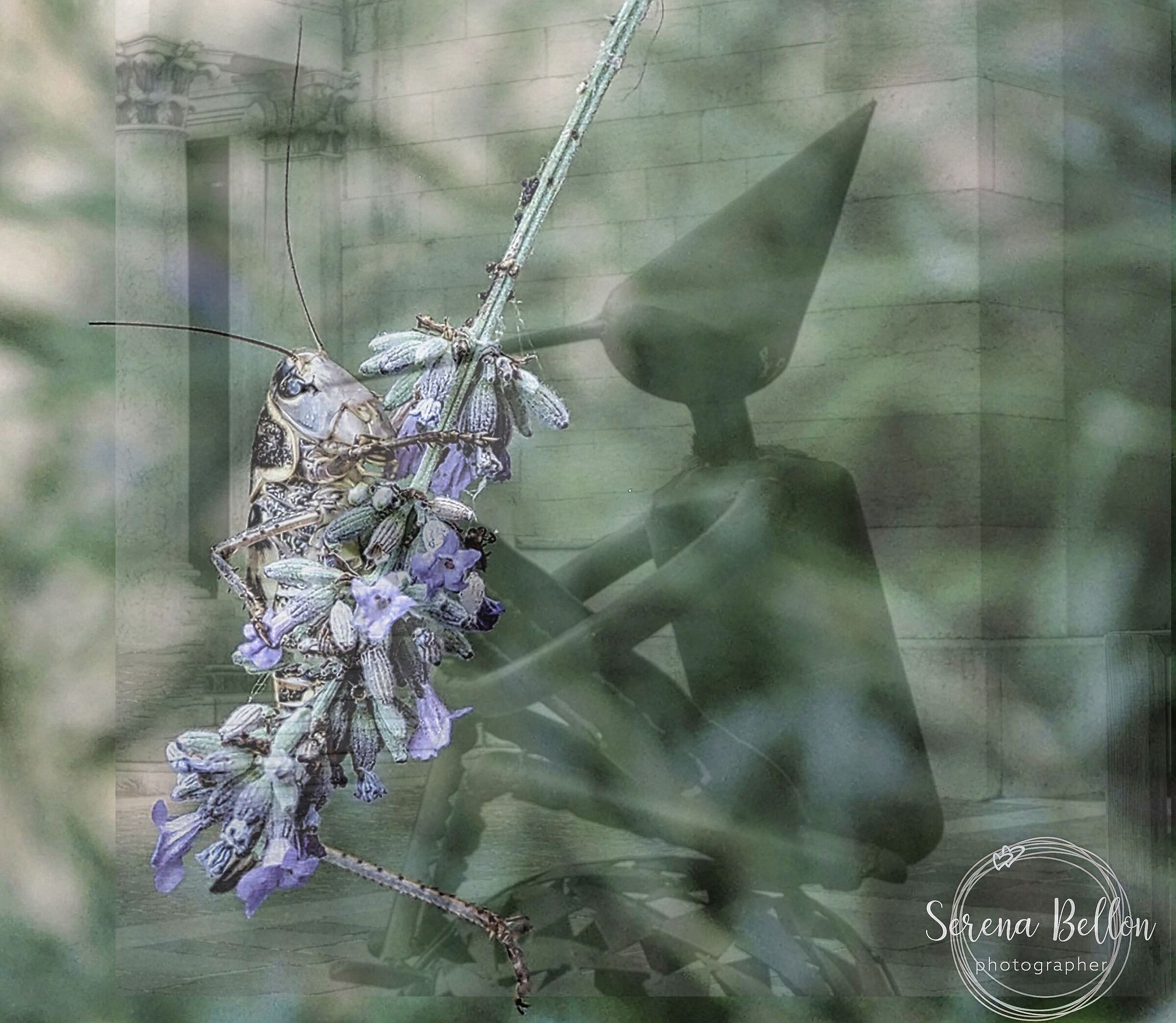 la coscienza riluttante si trasforma in consapevolezza