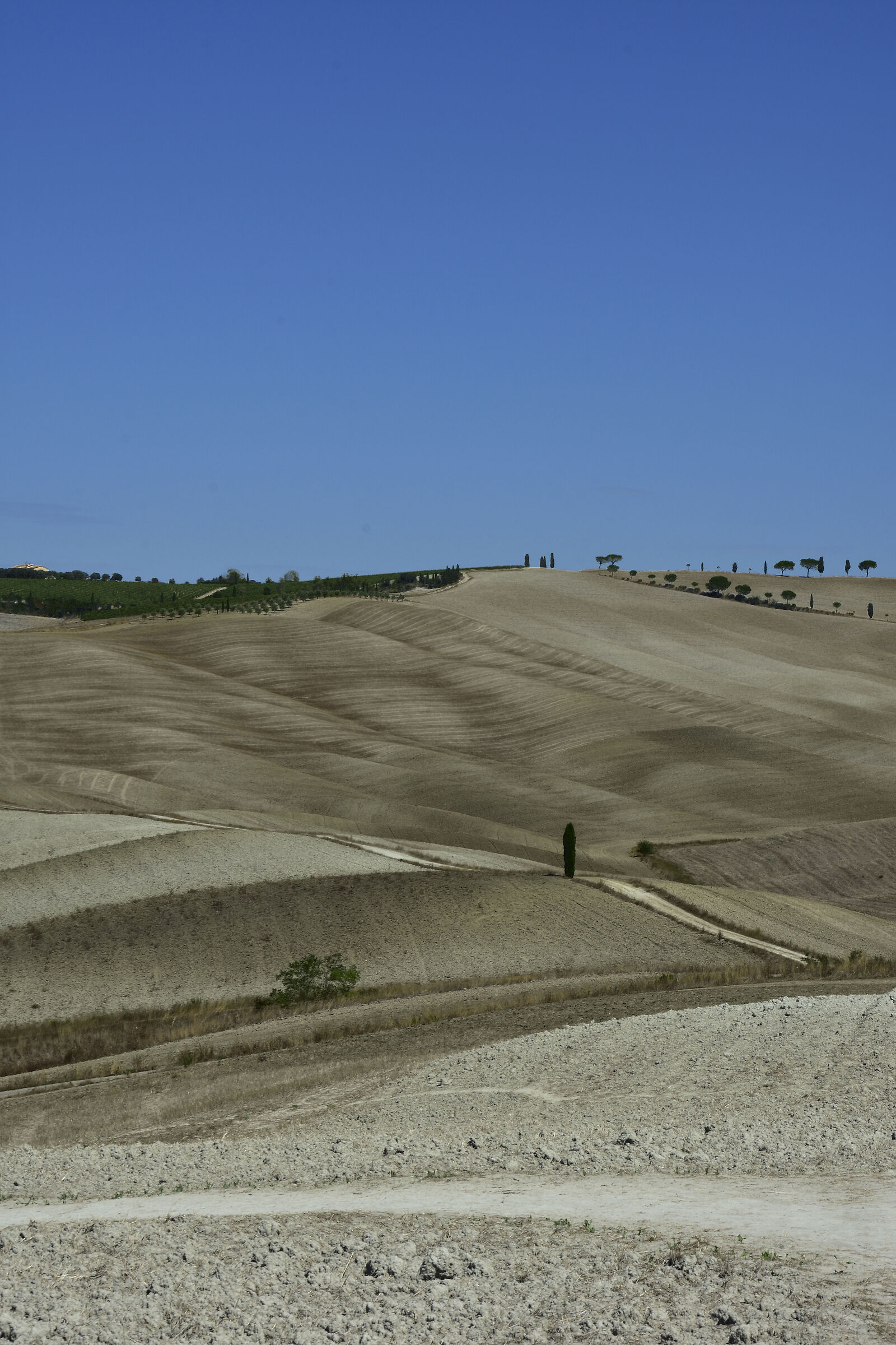 Toscana