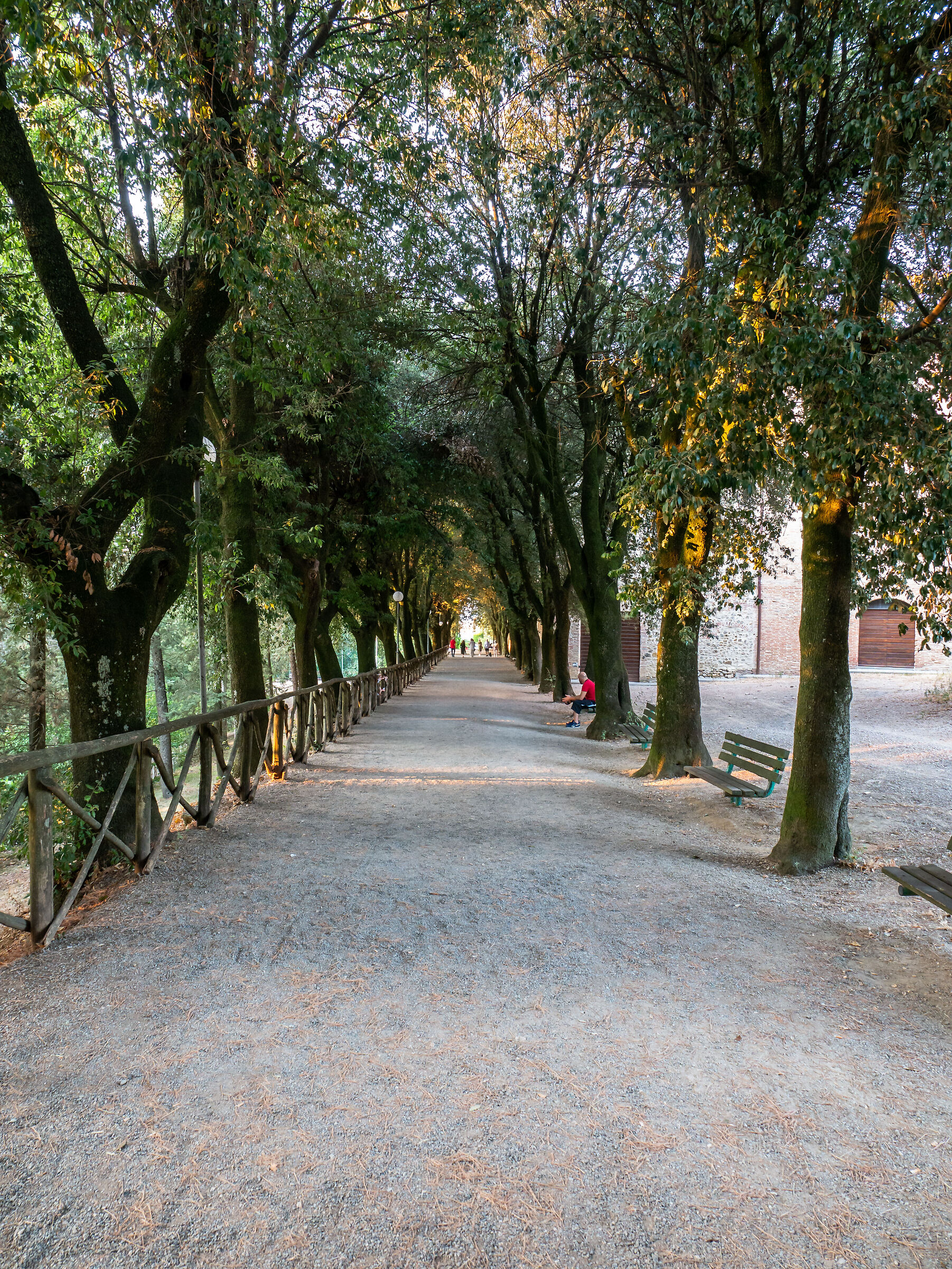 Città della Pieve - Perugia