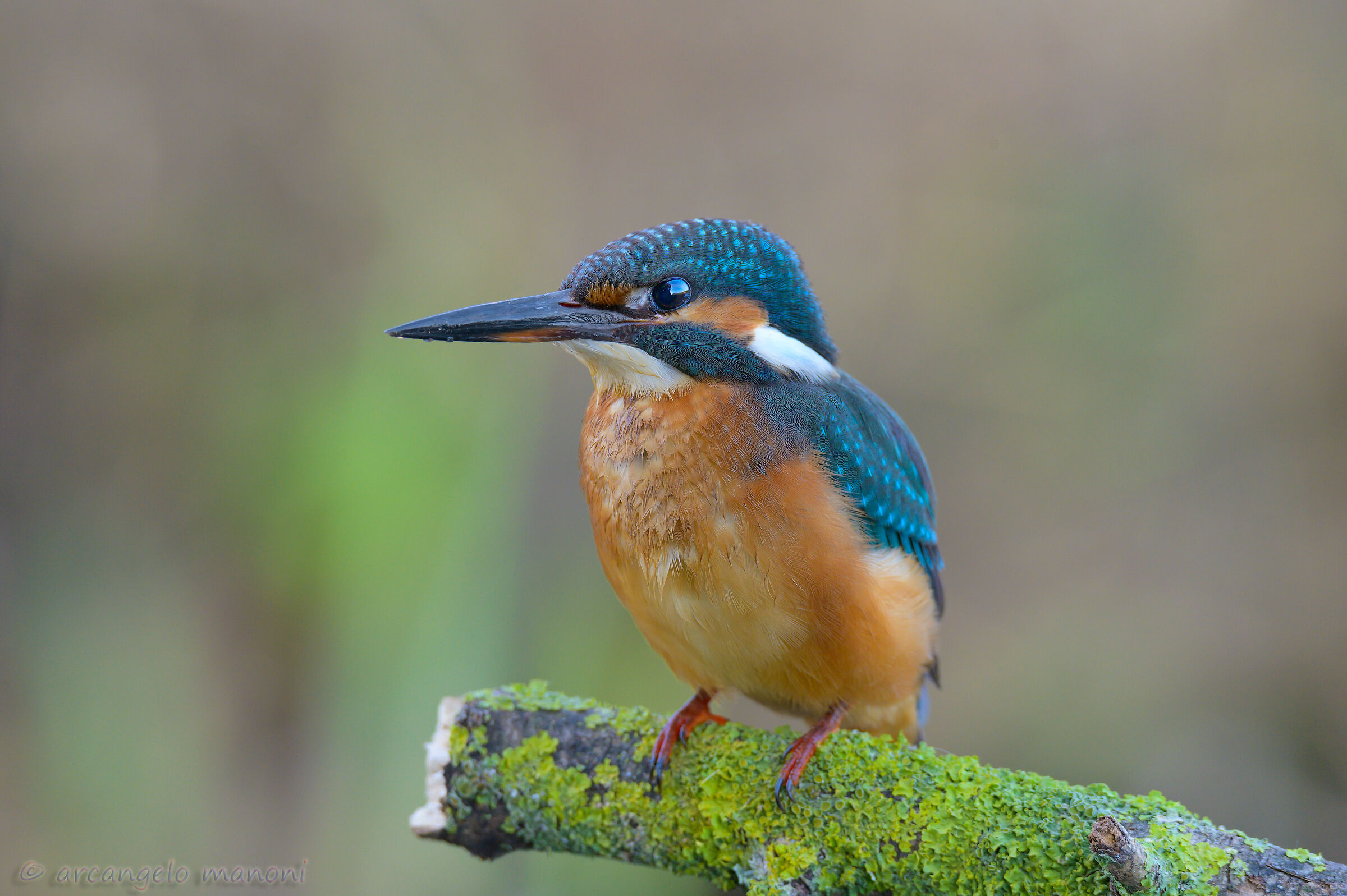 The landscape in your eyes