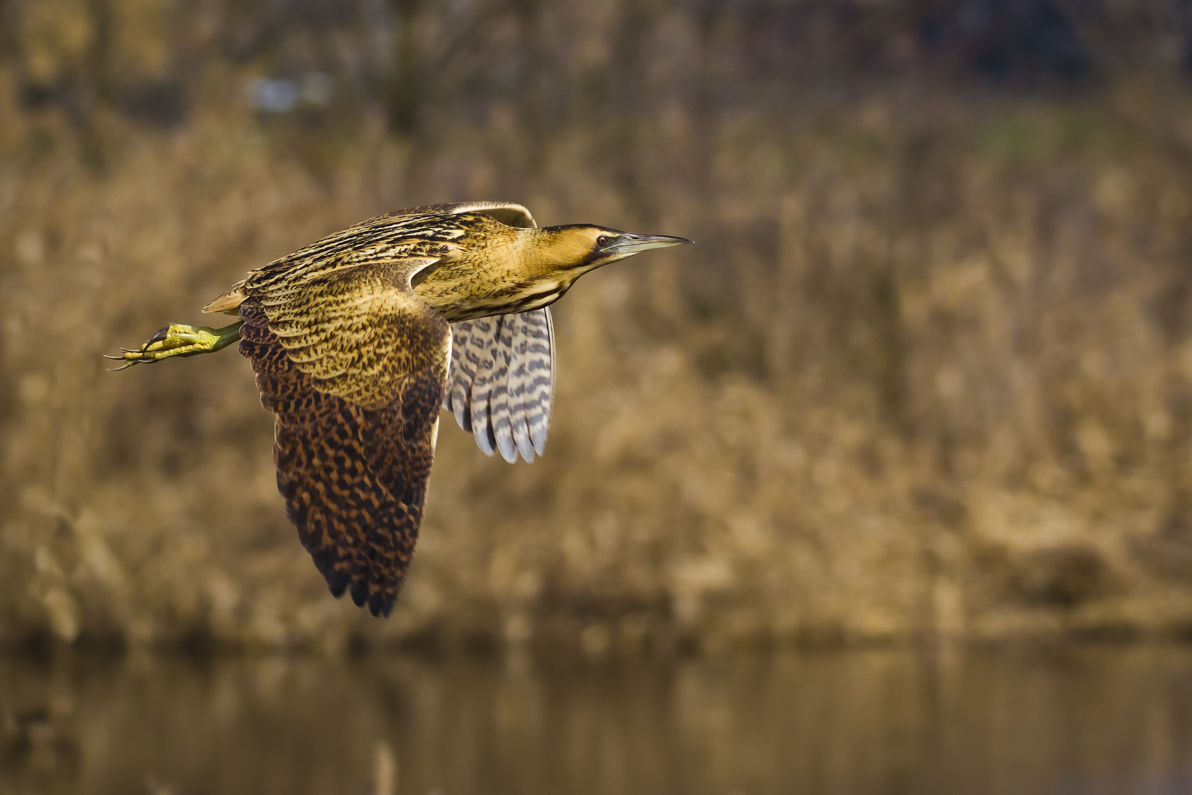 l'ultimo volo prima della partenza...