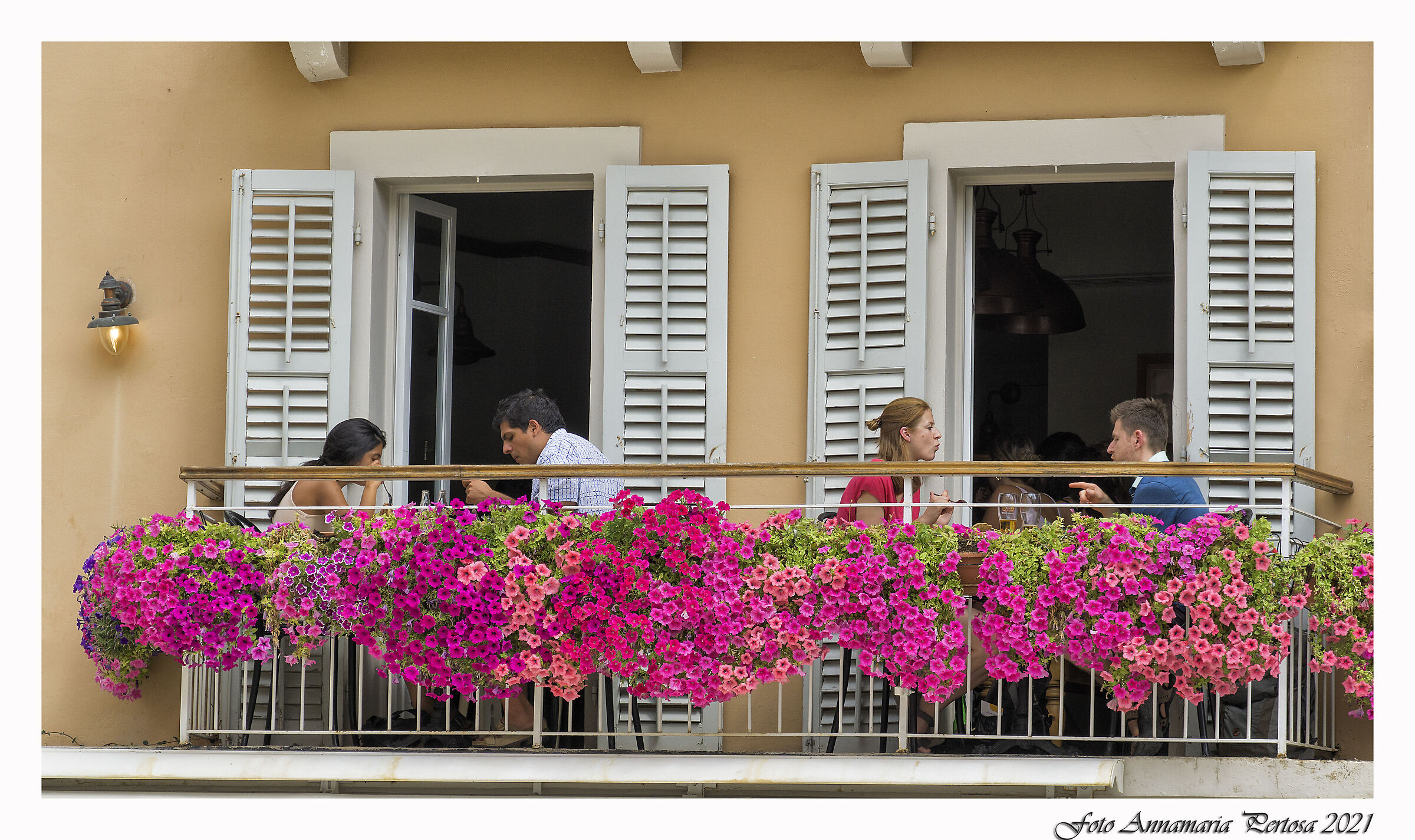 Among the flowers of Corfu