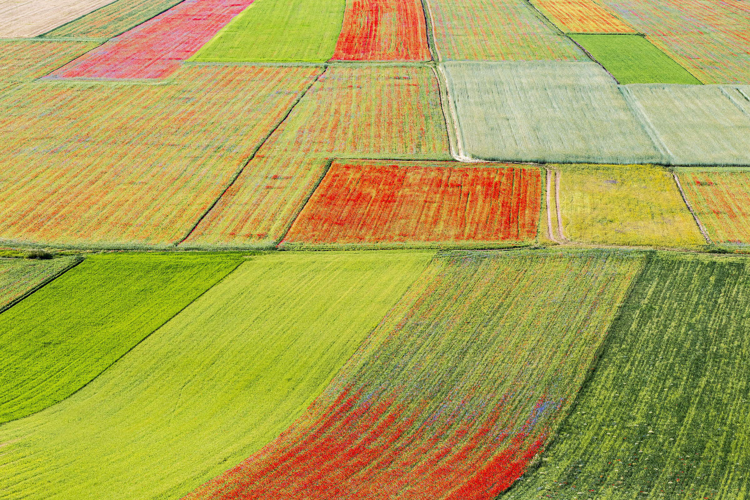 Field geometries