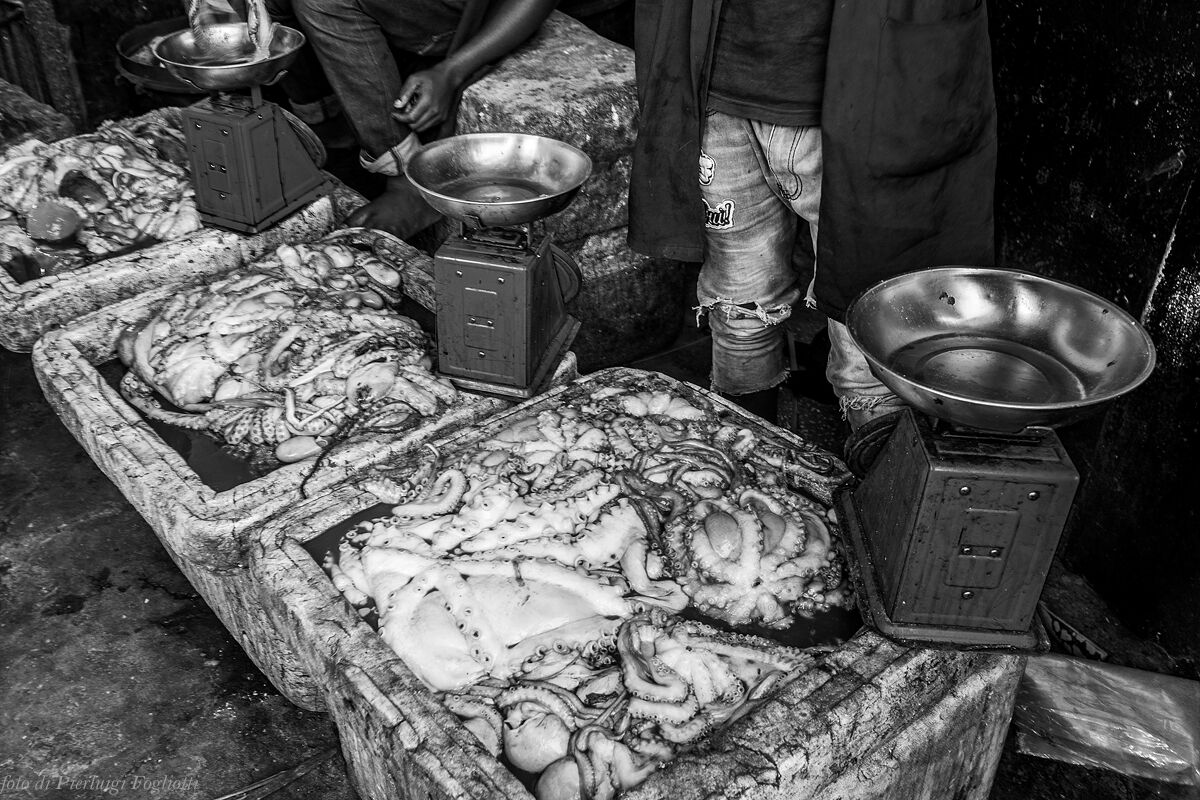 At the fish market in Stone Town (Zanzibar) - Octopus