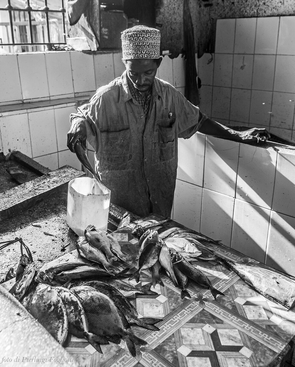 At the fish market in Stone Town (Zanzibar) - Fish
