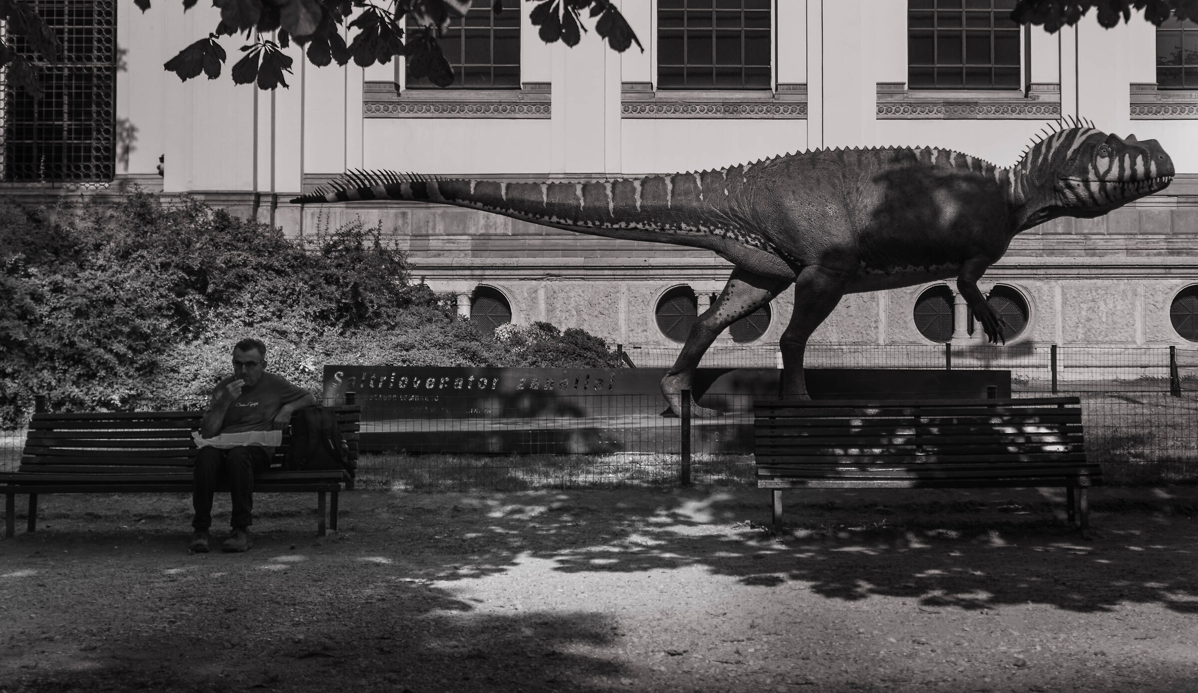 If it were true other than pizza....