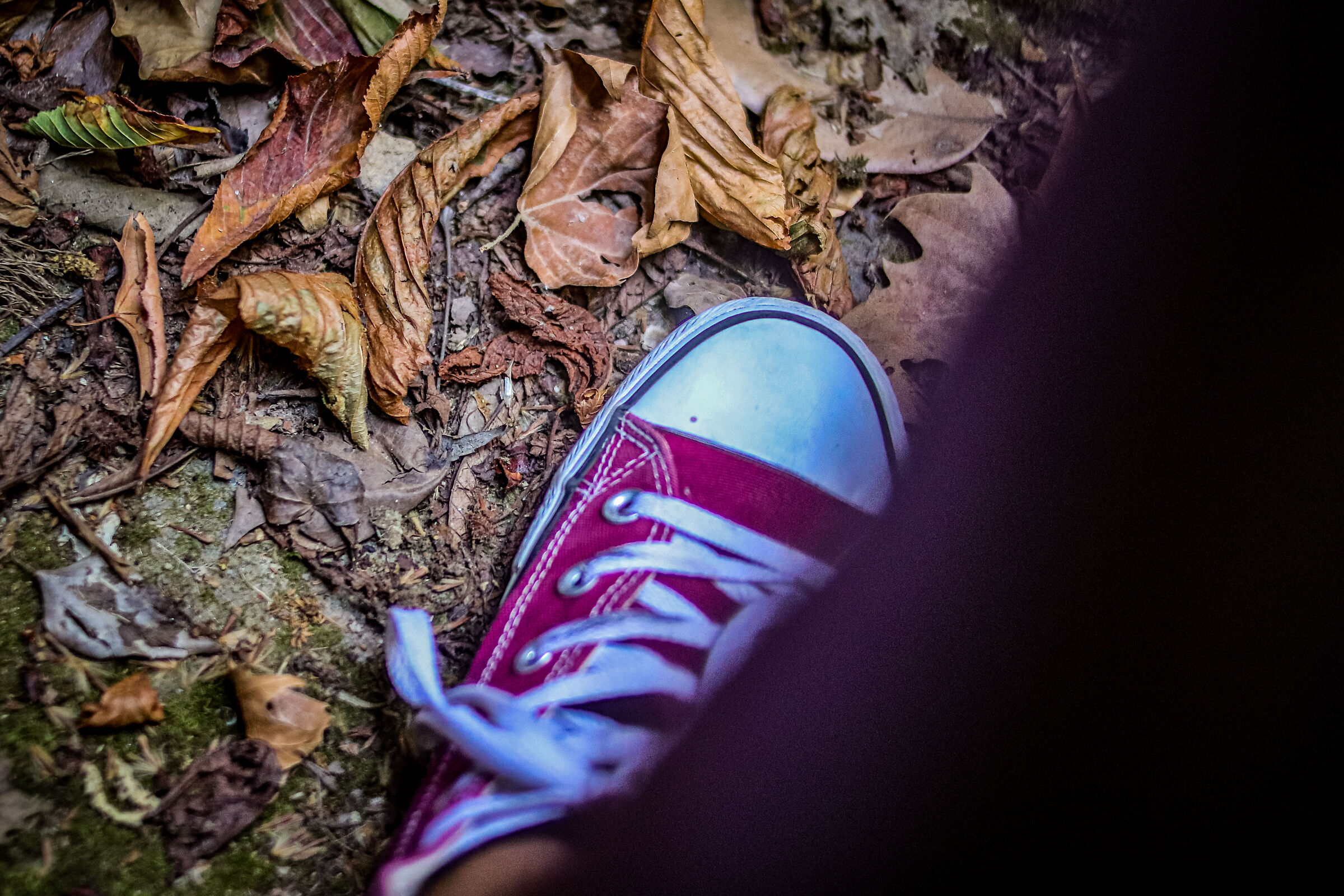 Converse in autumn
