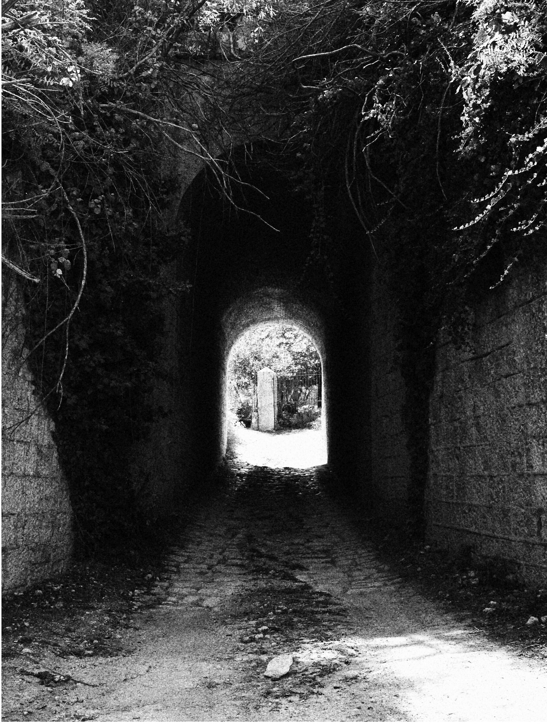 tunnel