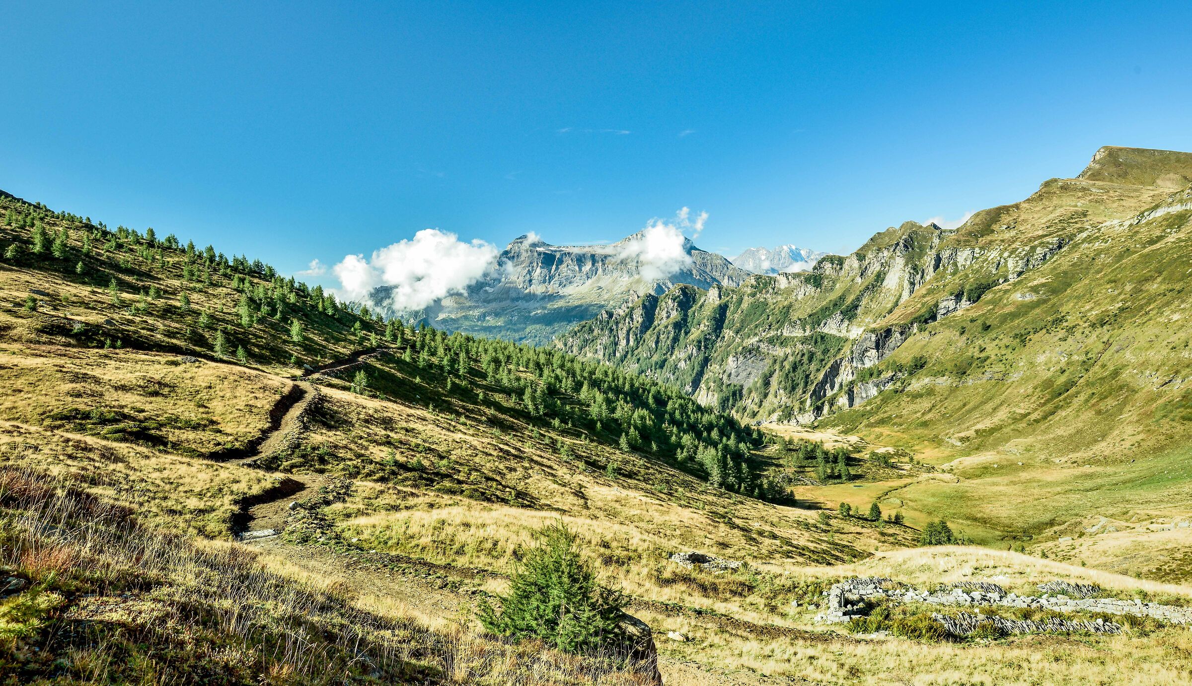 nei pressi dell'Alpe Poiala sullo sfondo il Diei ed il