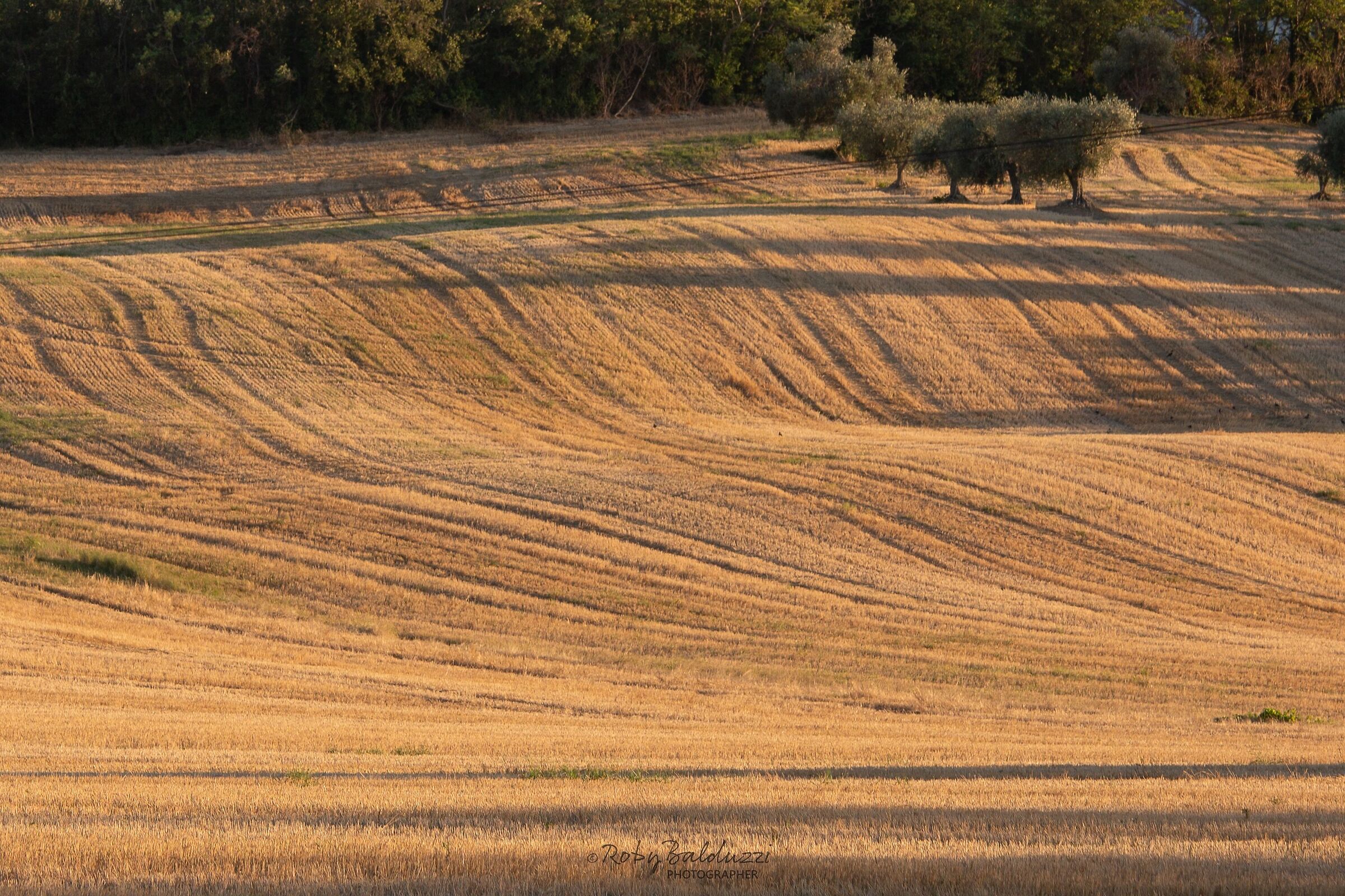 Marche countryside #2