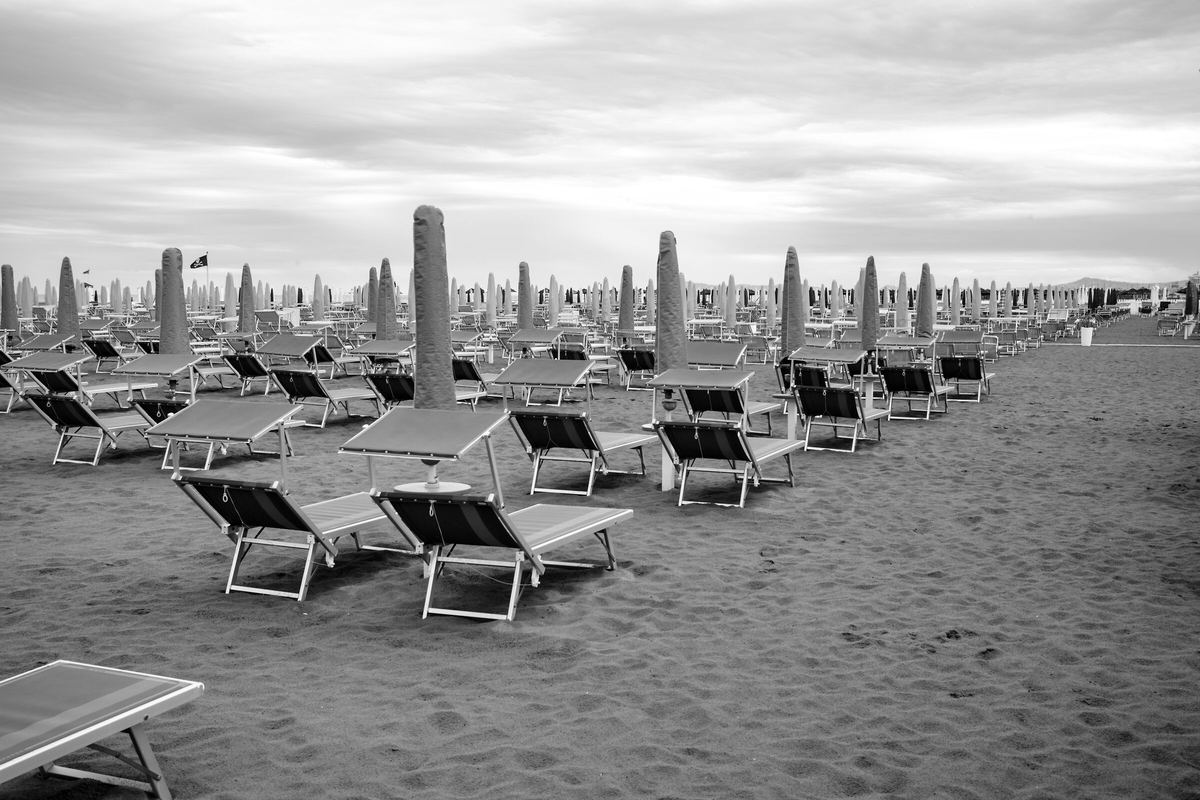 Leica Monochrom