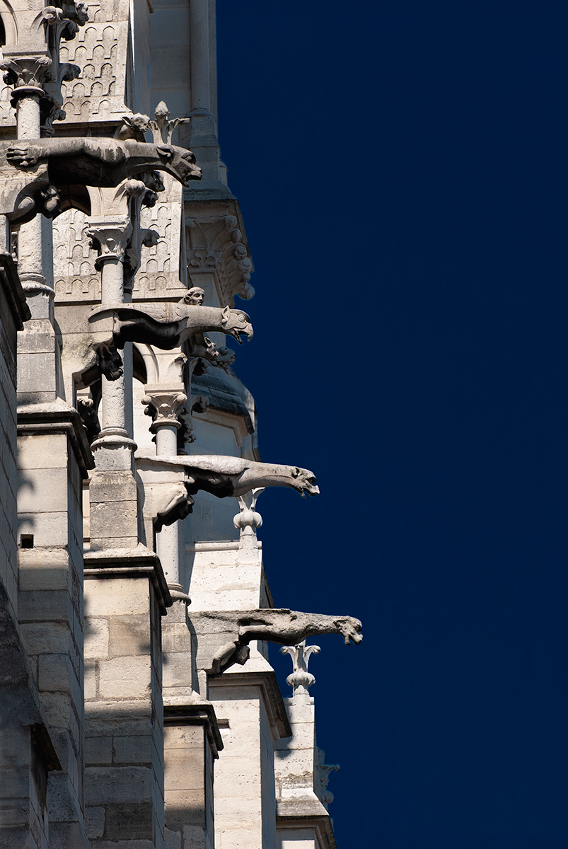 Gargoyles