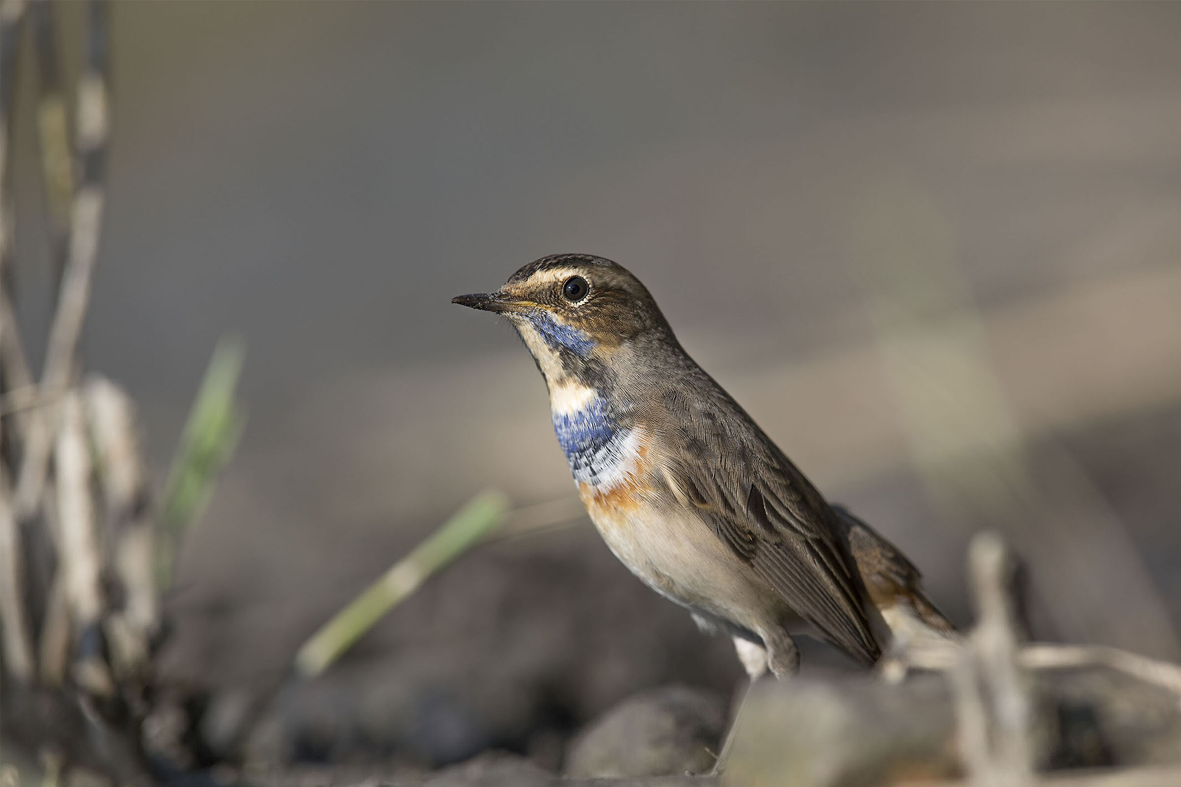 A wonderful surprise