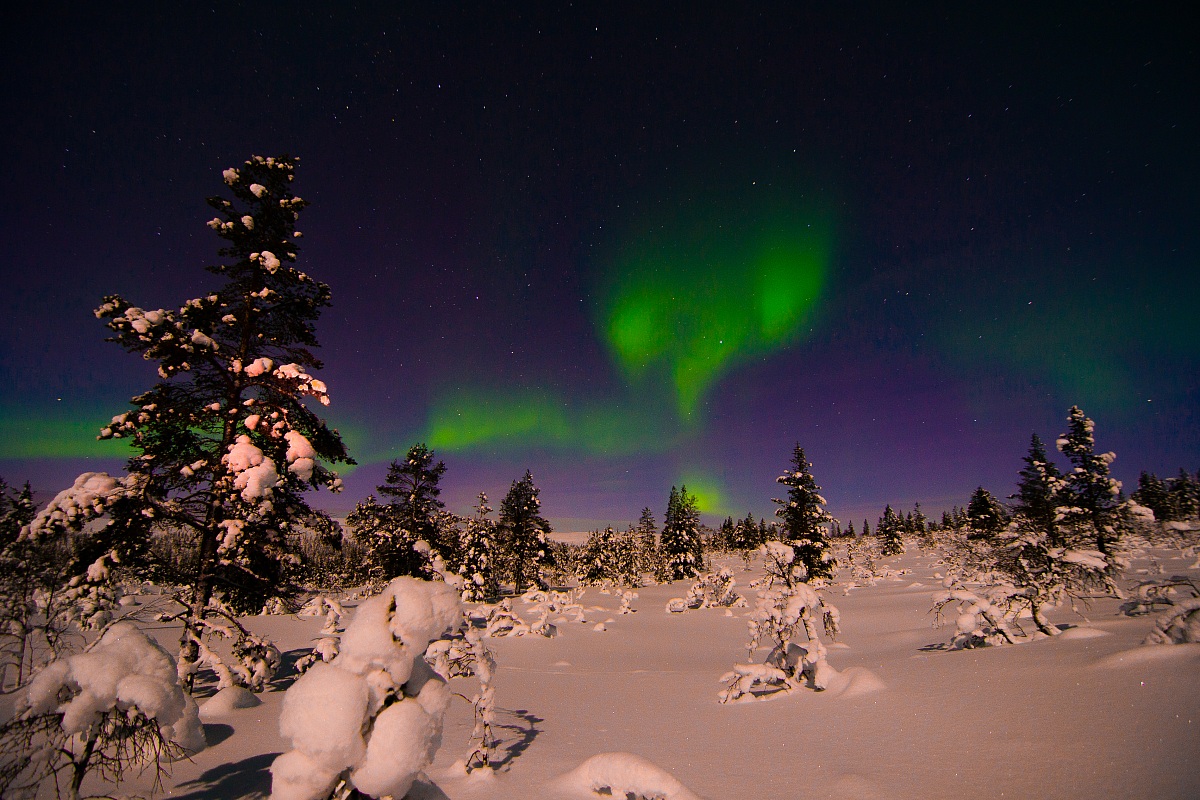 Aurora a Saariselka