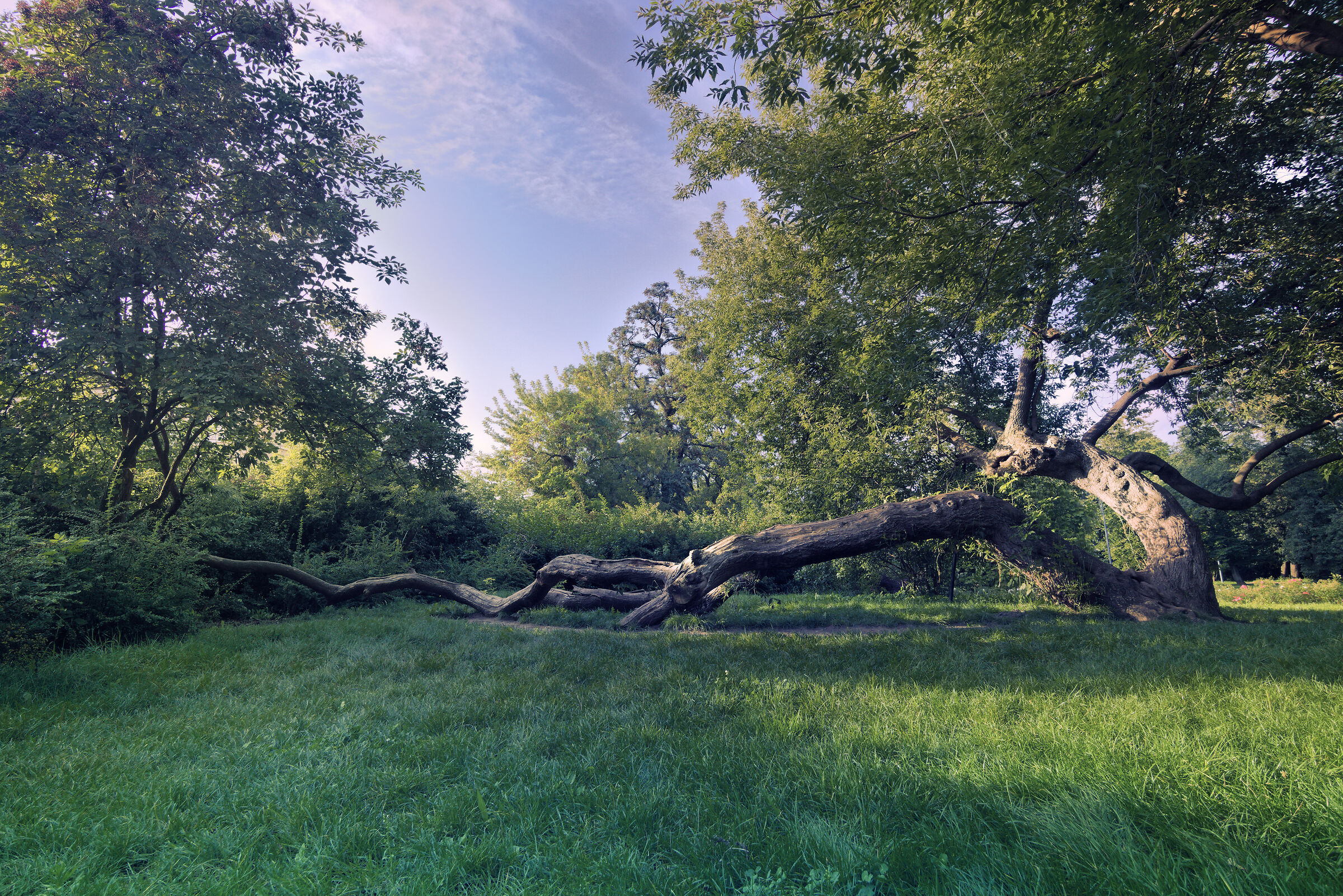 Piaseczno City Park, September 2021