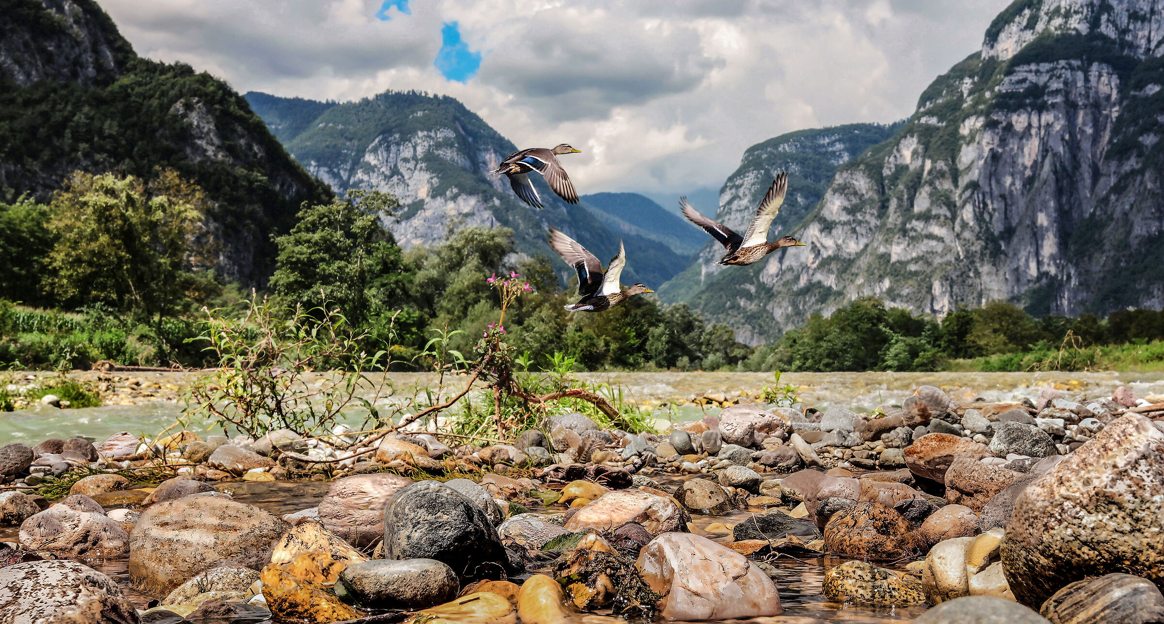River Brenta Valsugana