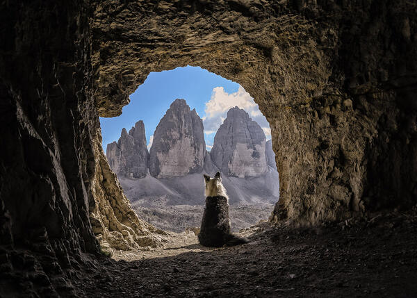 Foto