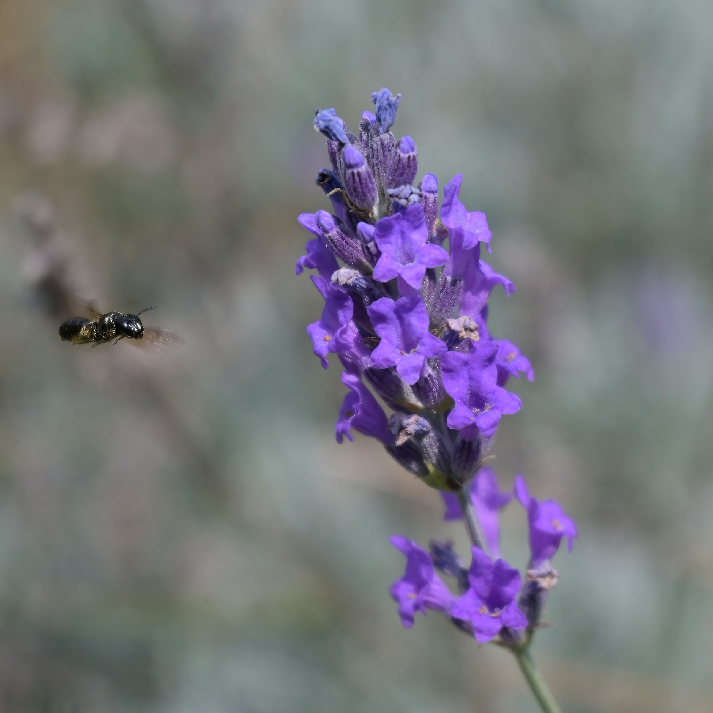 Prove tecniche di avvicinamento