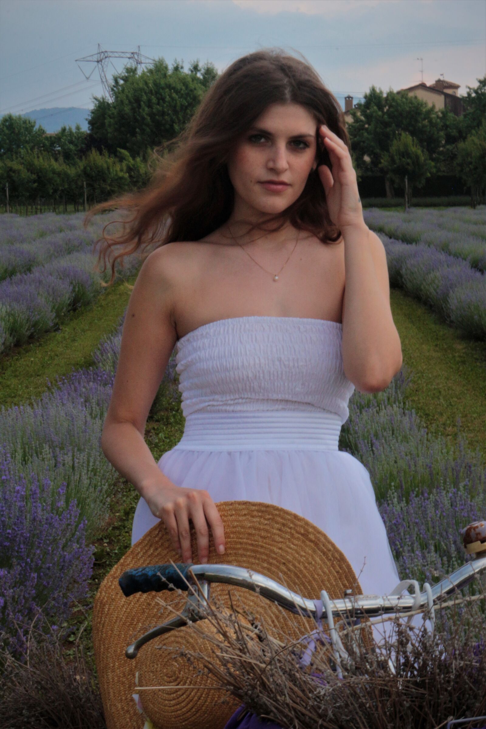 in bicicletta tra la lavanda