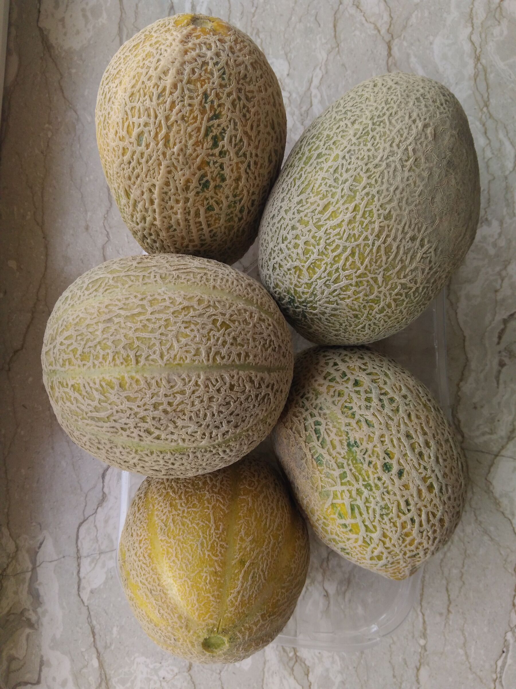 Garden melons