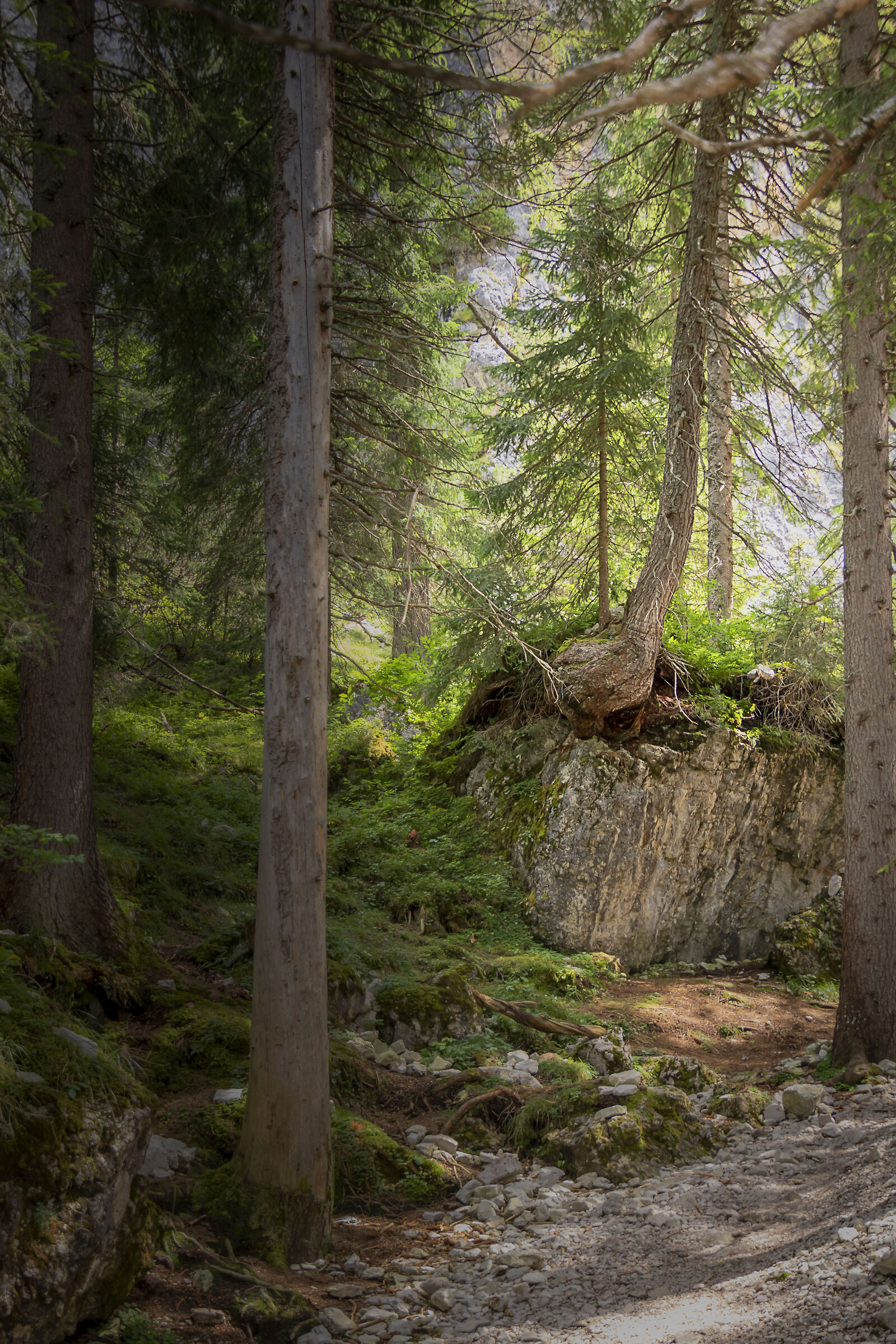 Nonostante le difficoltà...