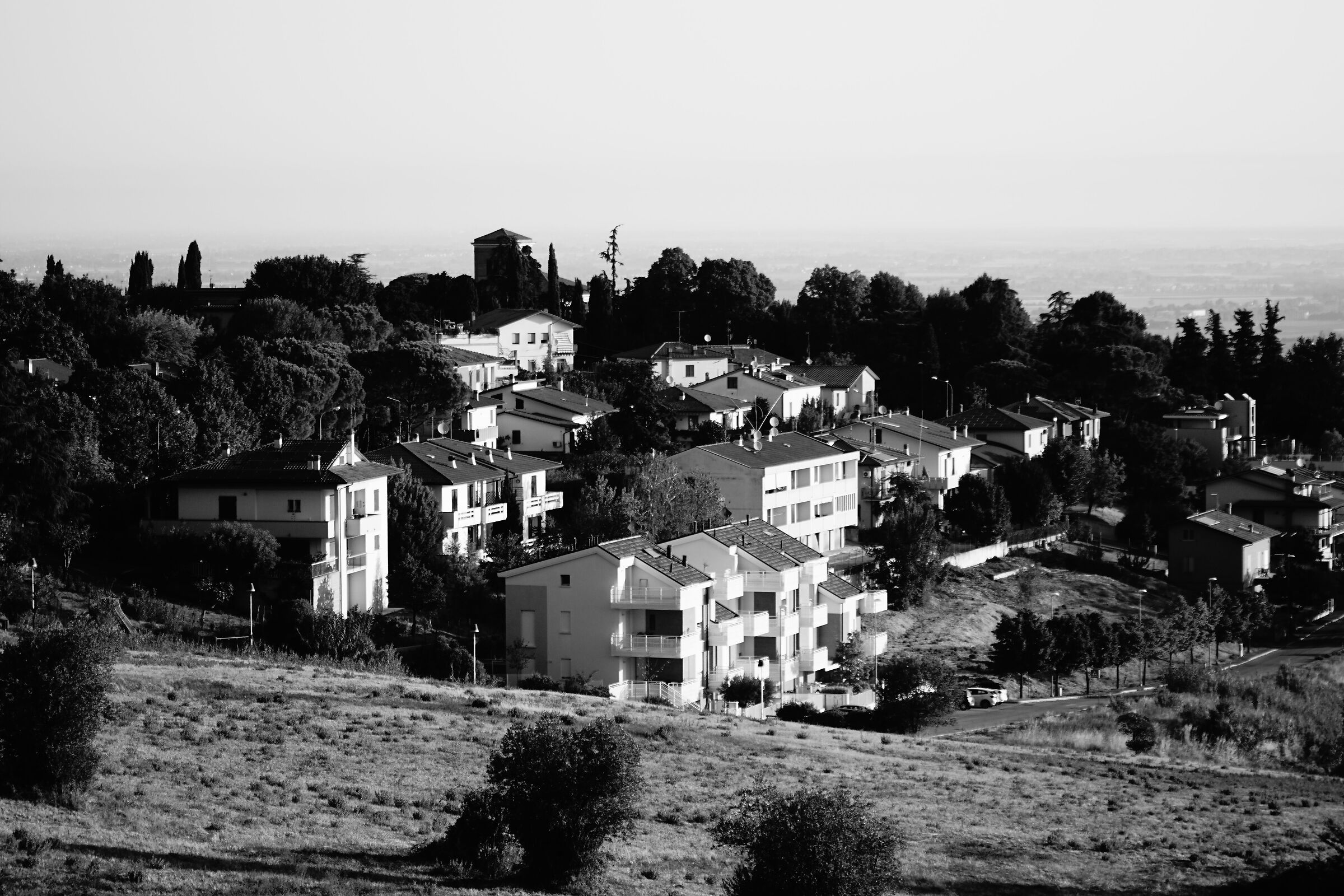 Untitled Photo