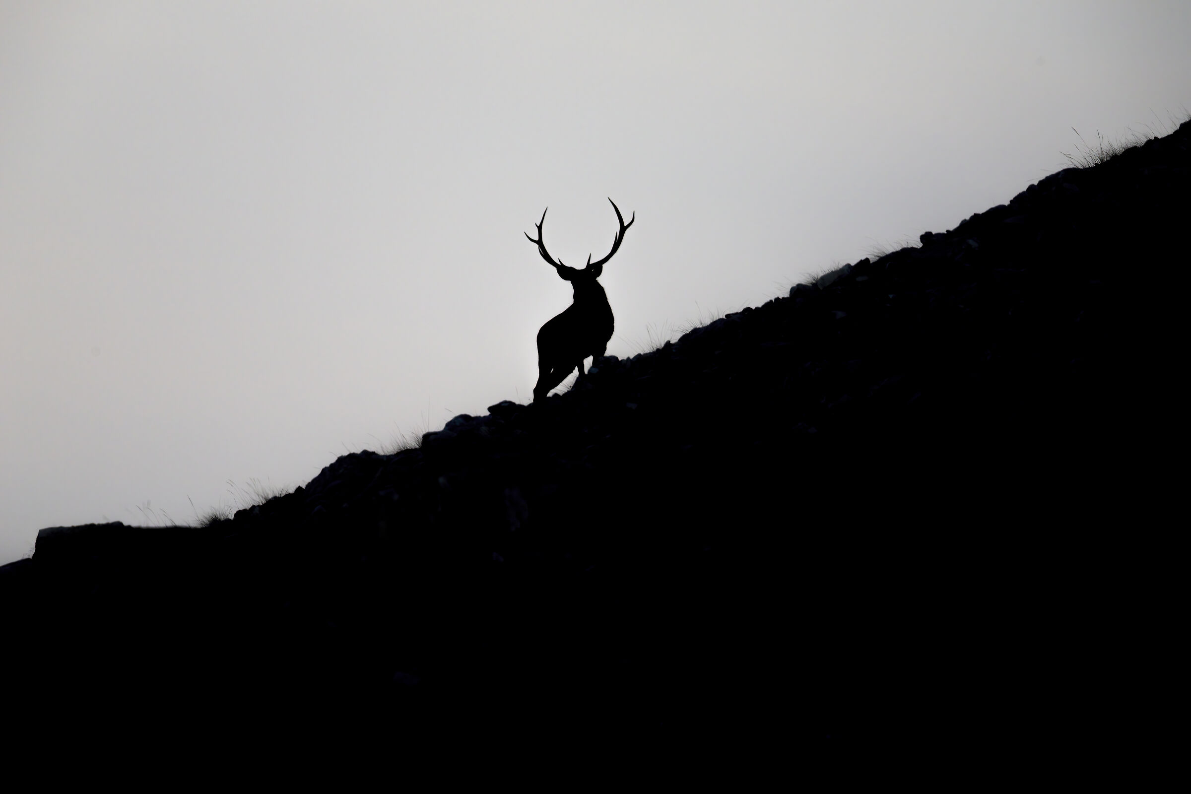 You can see far away you feel close: the Bramito