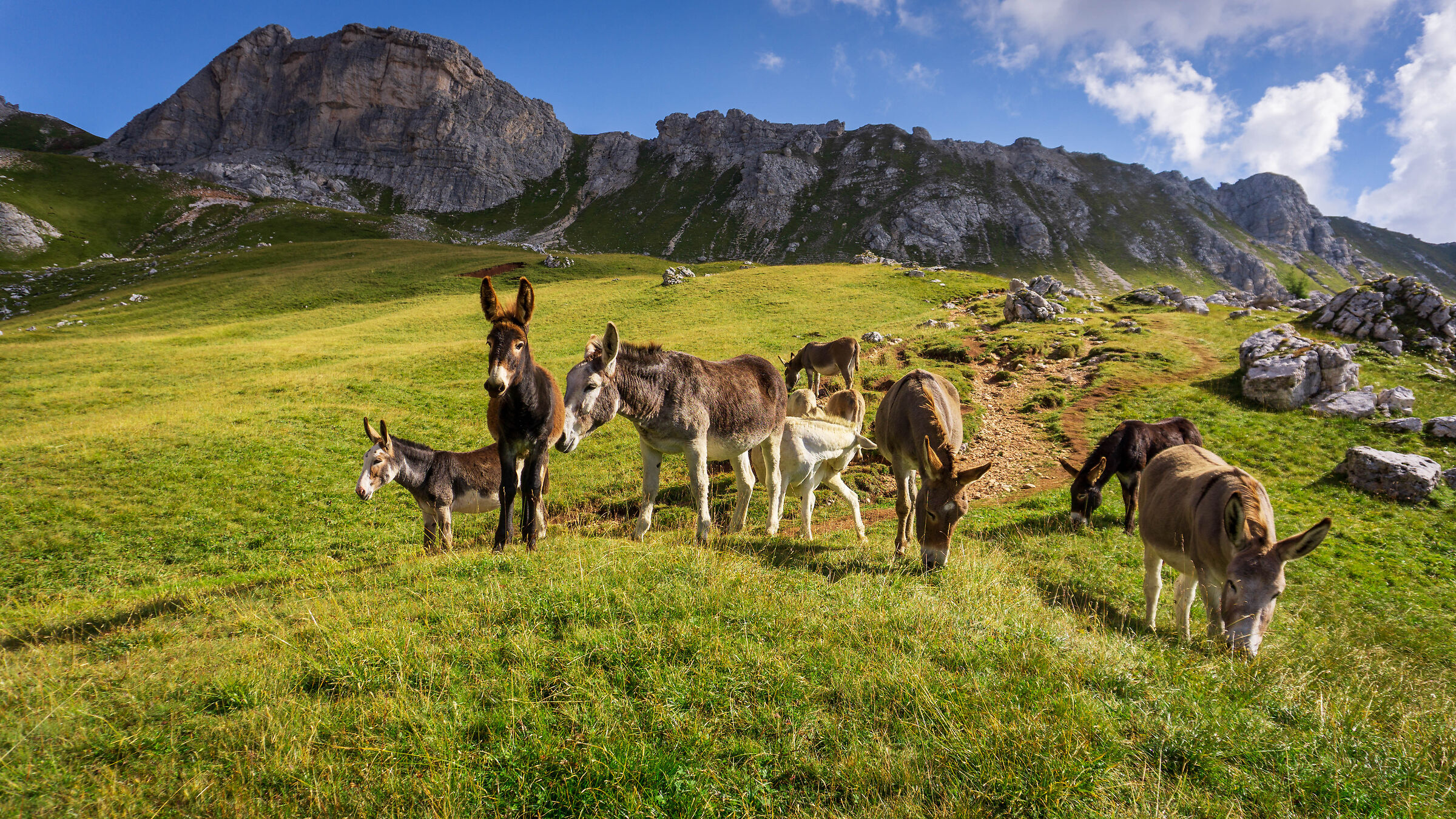 Dolomites