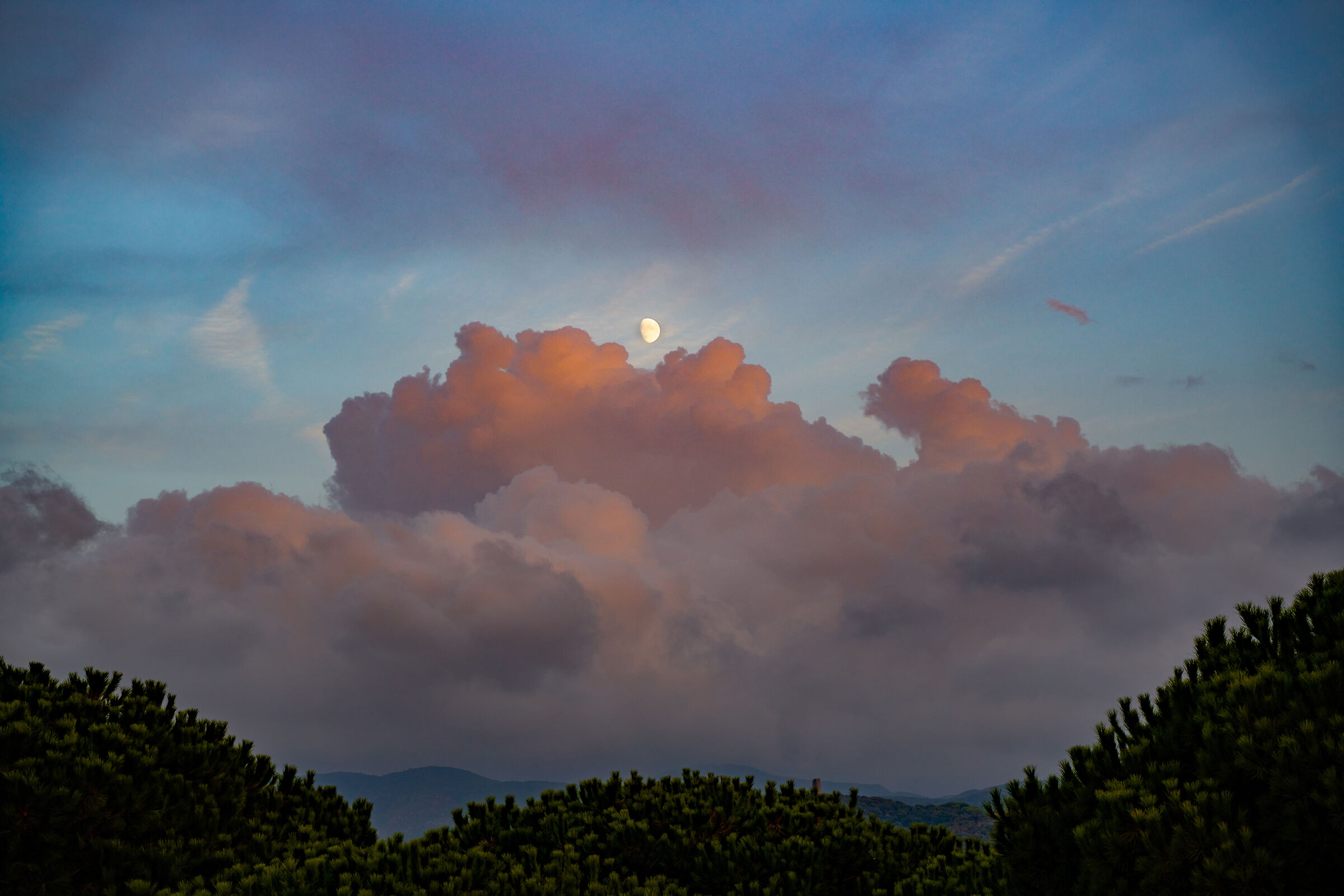 The moon emerges from the clouds