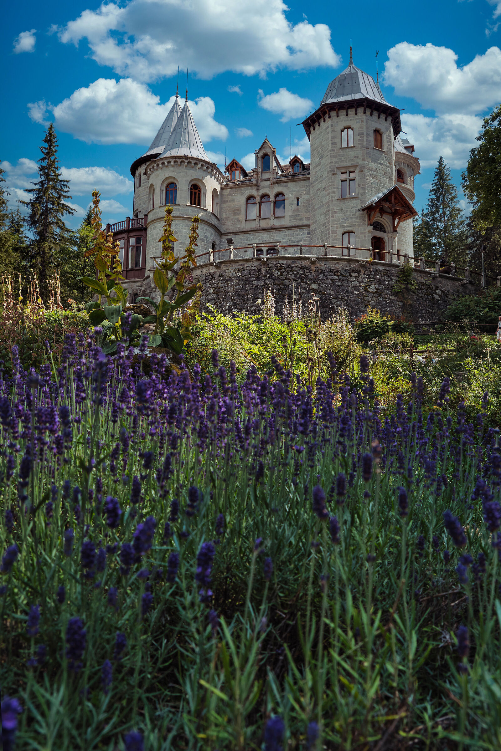 Castello di Savoia - Gressoney