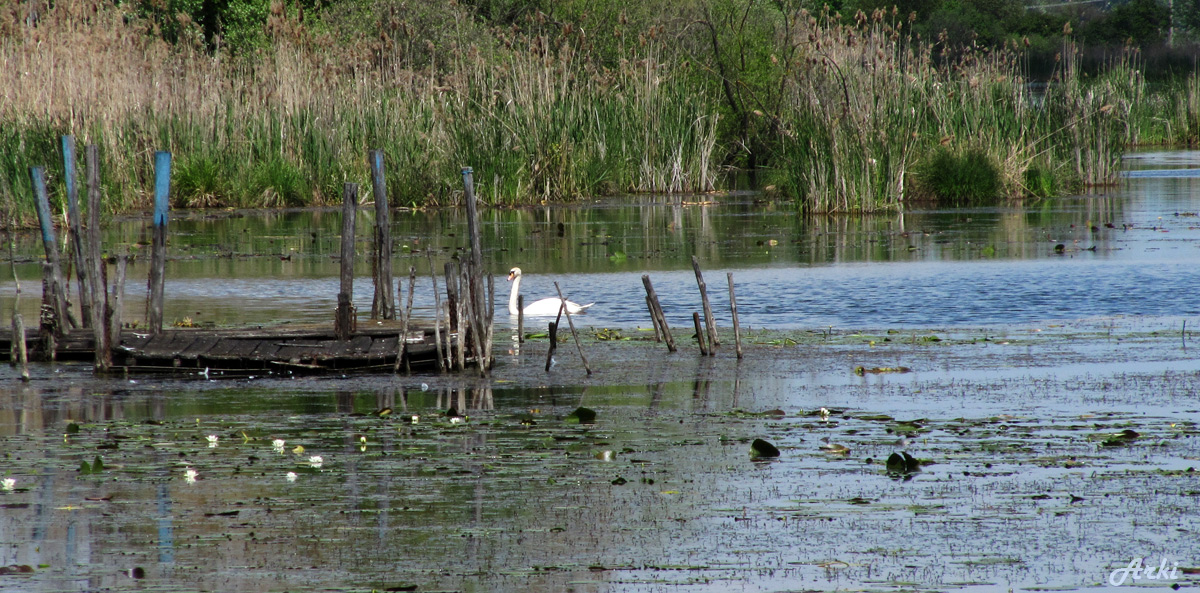 Lago di Fimon