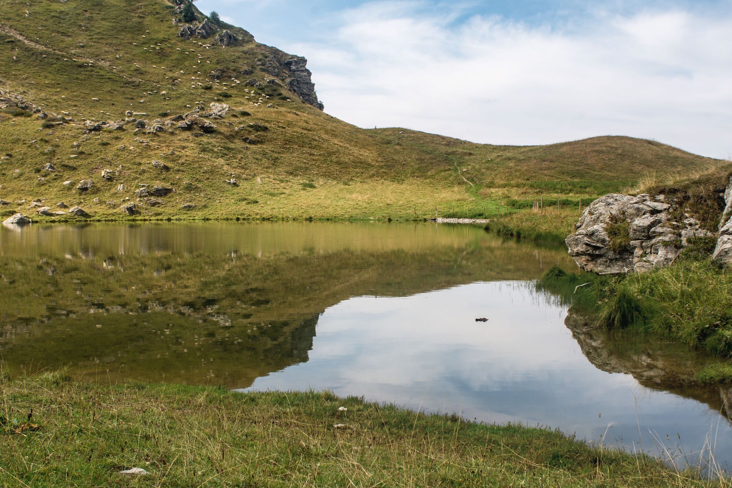 Riflesso nel lago 2