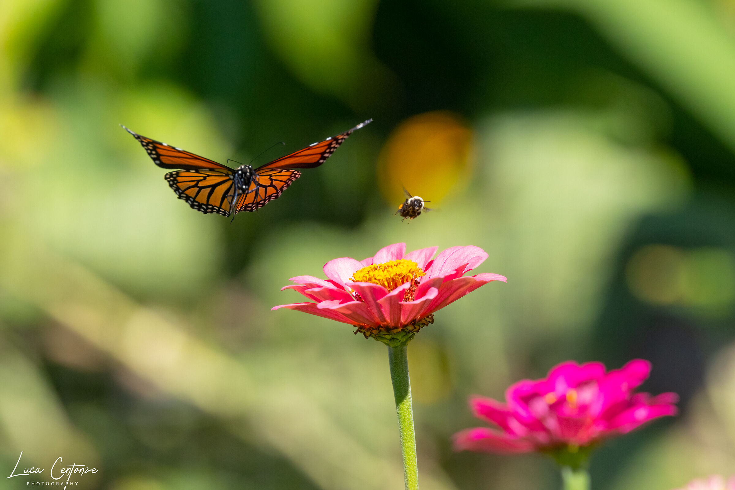 And if I still find you here we do the math .......