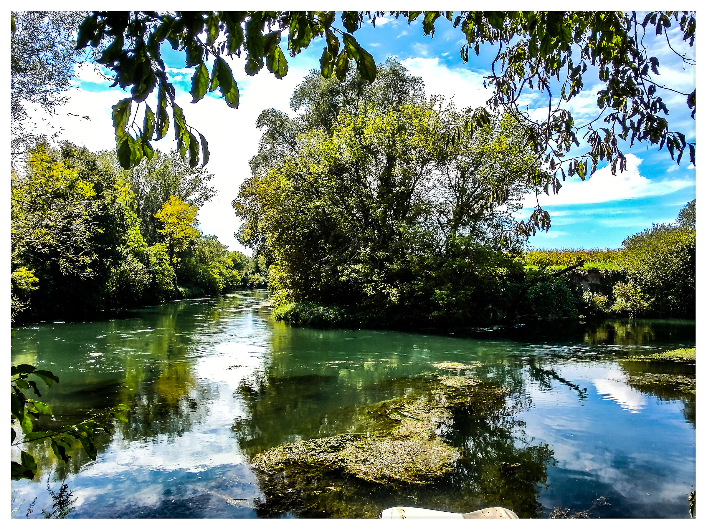 Nel verde