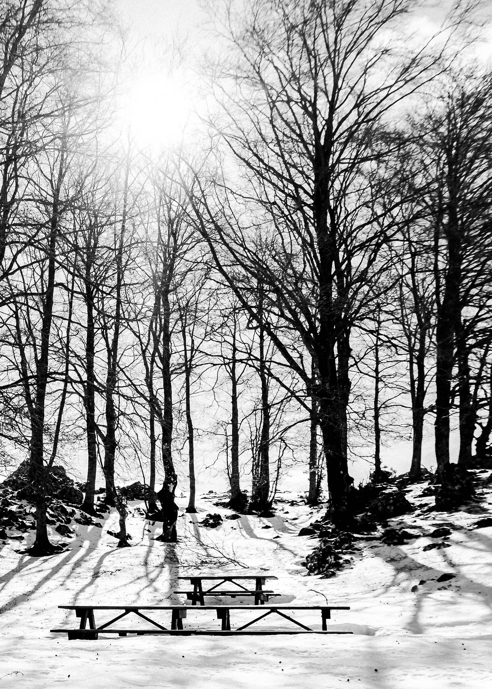 Neve