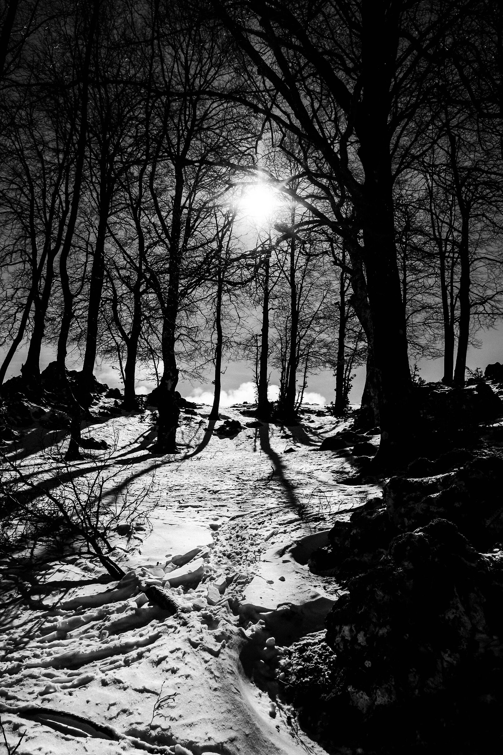 Neve