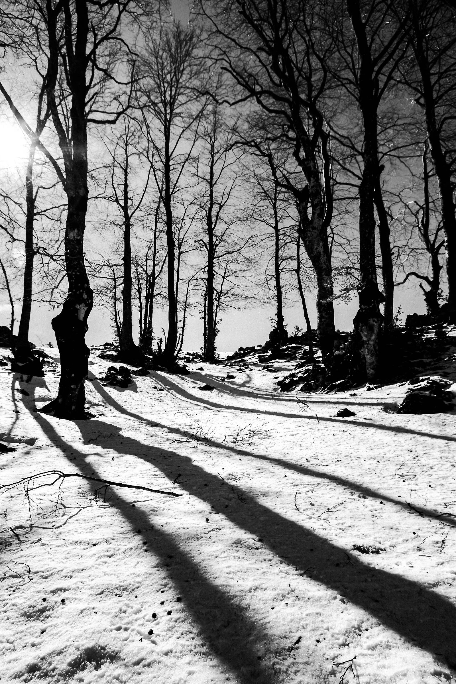Neve