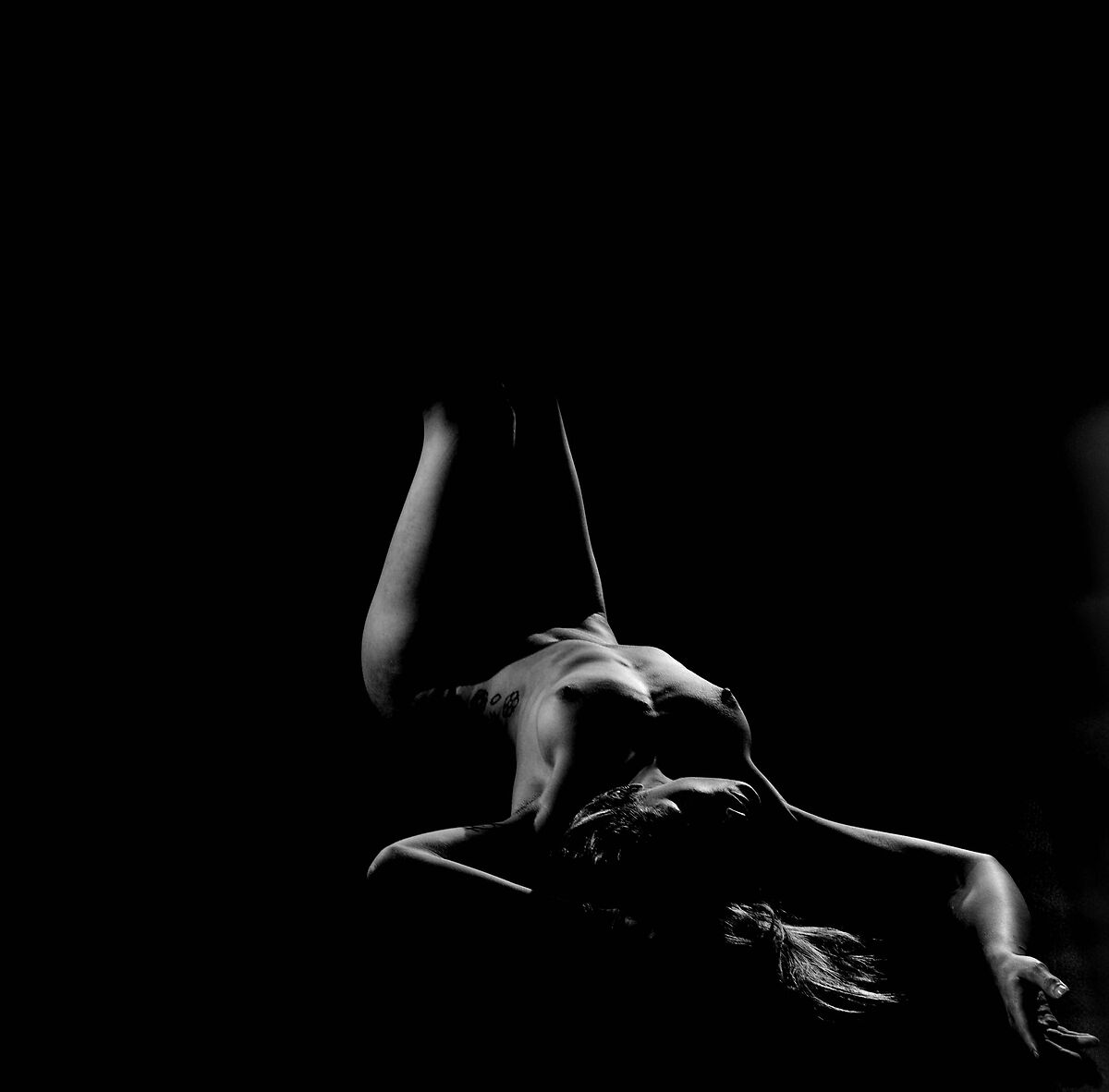 Silhouette