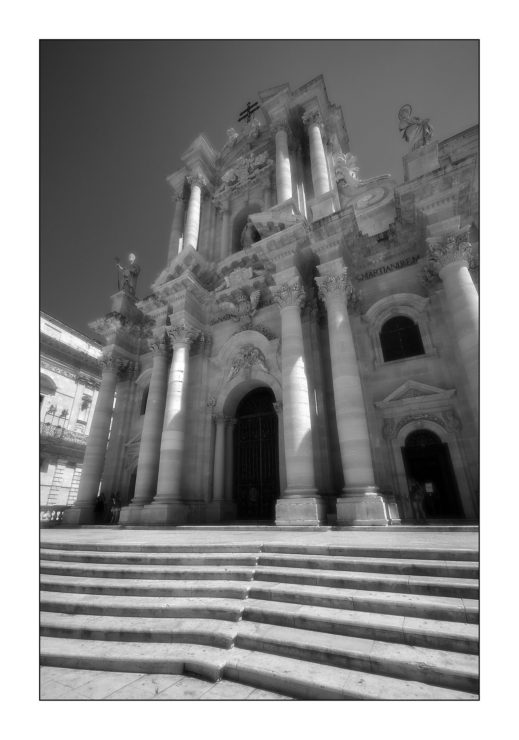 Ortigia bn
