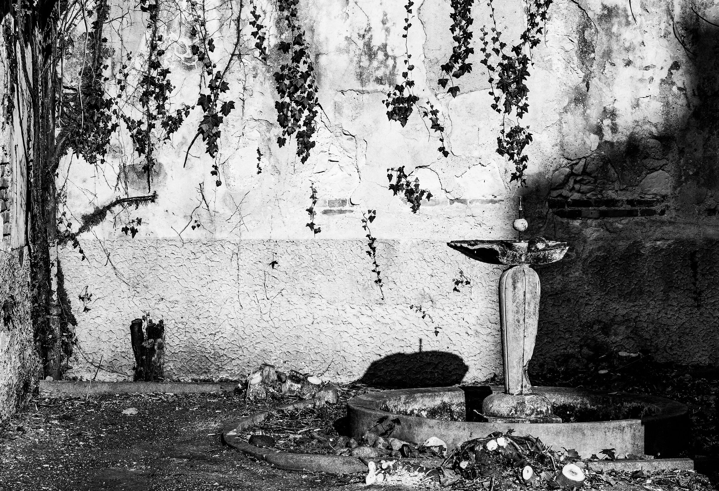 Il giardino dell'Oblio