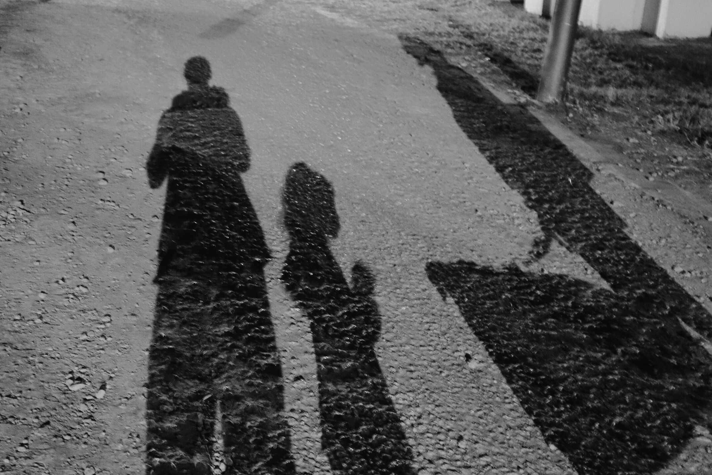 Ombra di famiglia