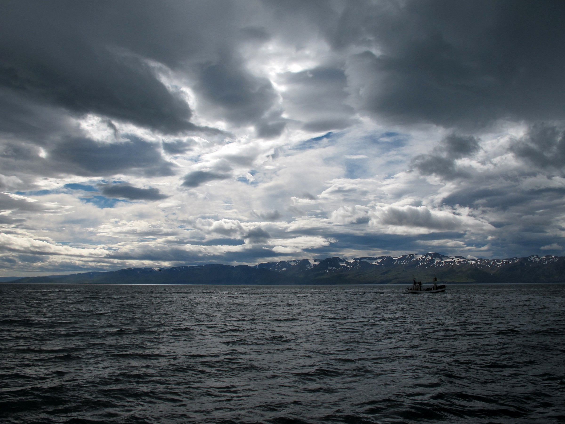 Bay of Husavik - VCercando the Humpback Whales