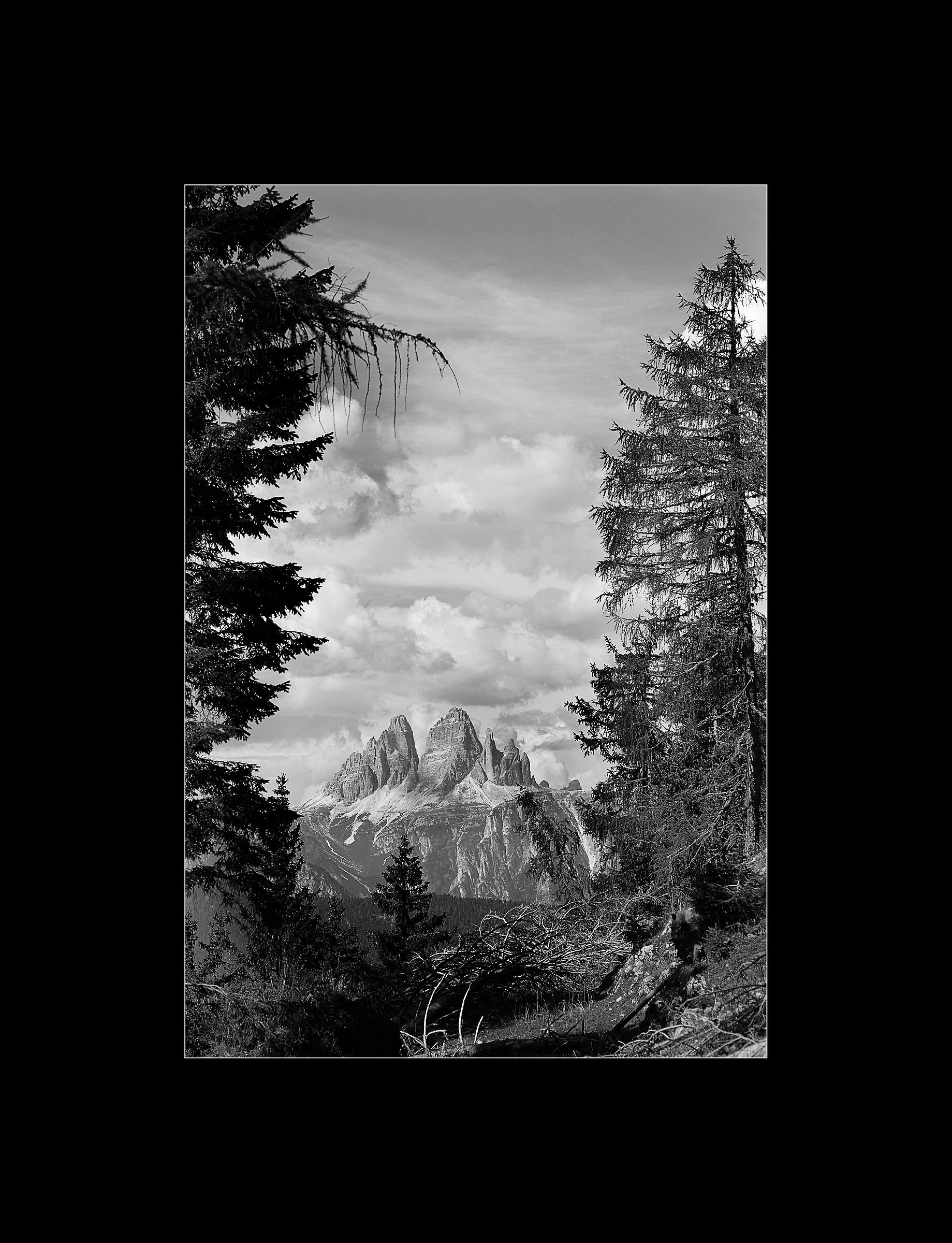 The Three Peaks seen from Col Vidal