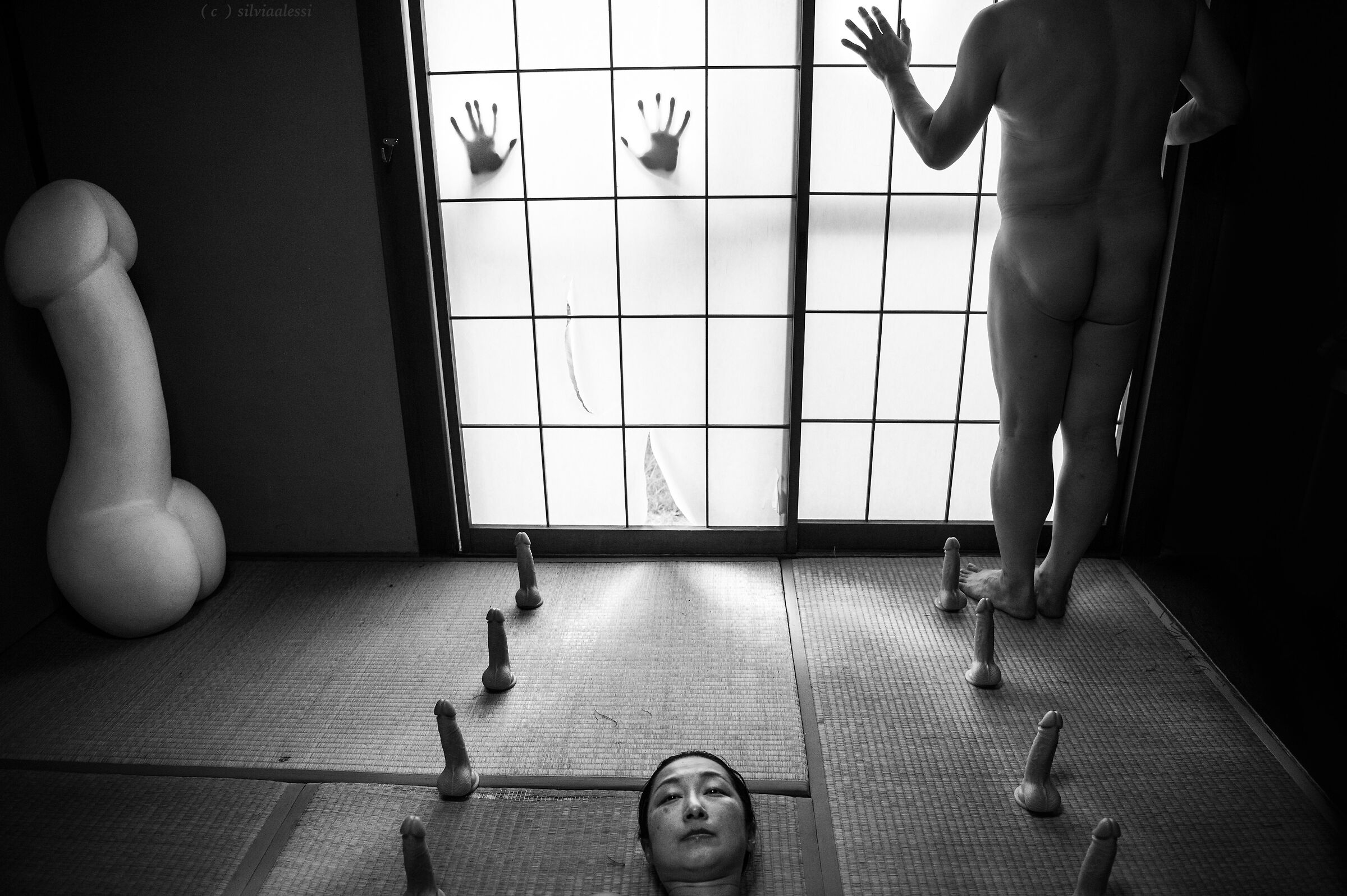 Metamorfosi e follia