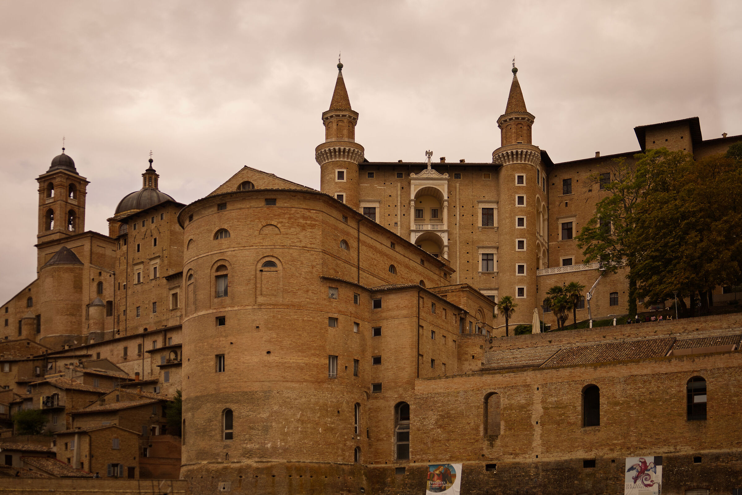 Urbino