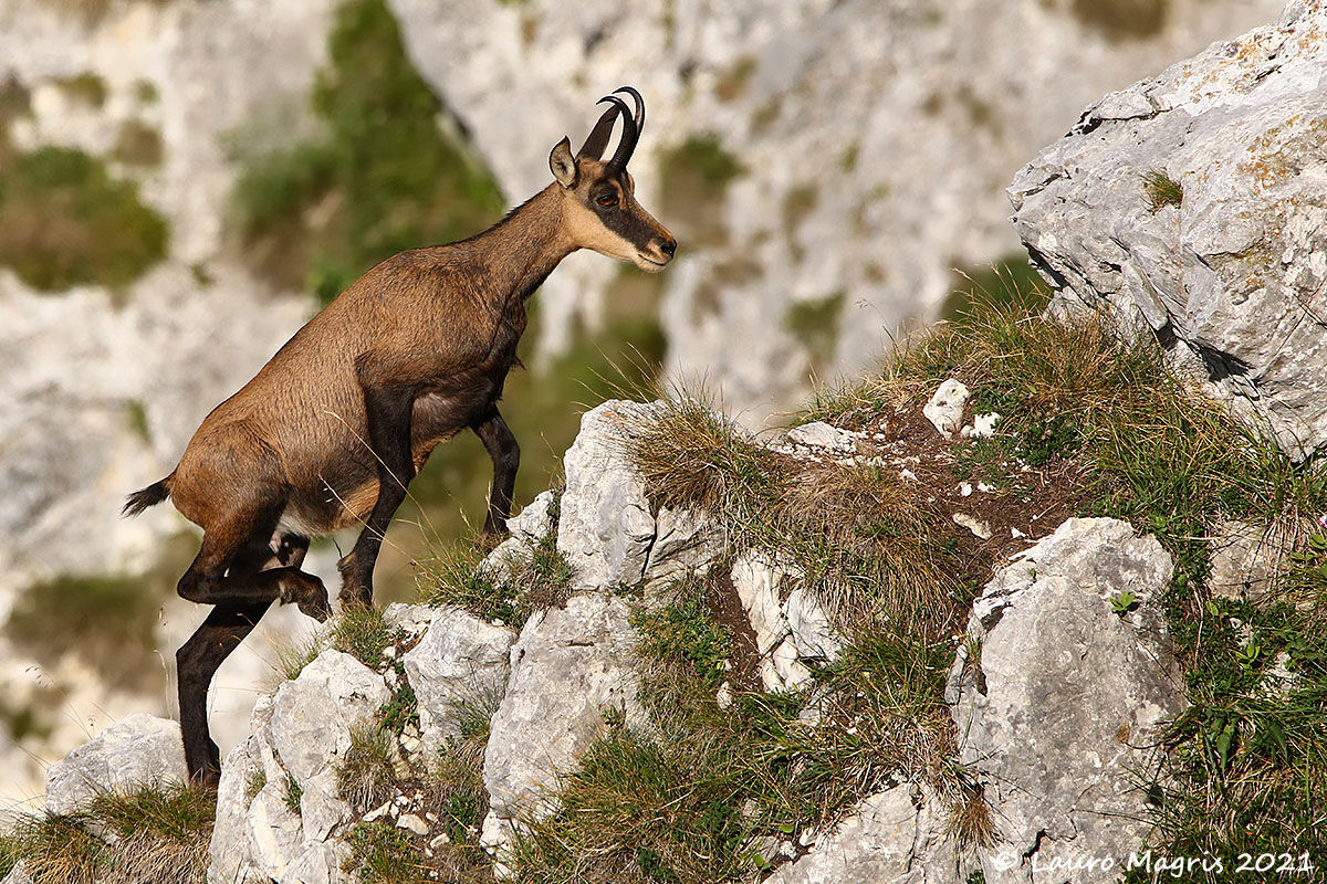 Arrampicata con sicurezza
