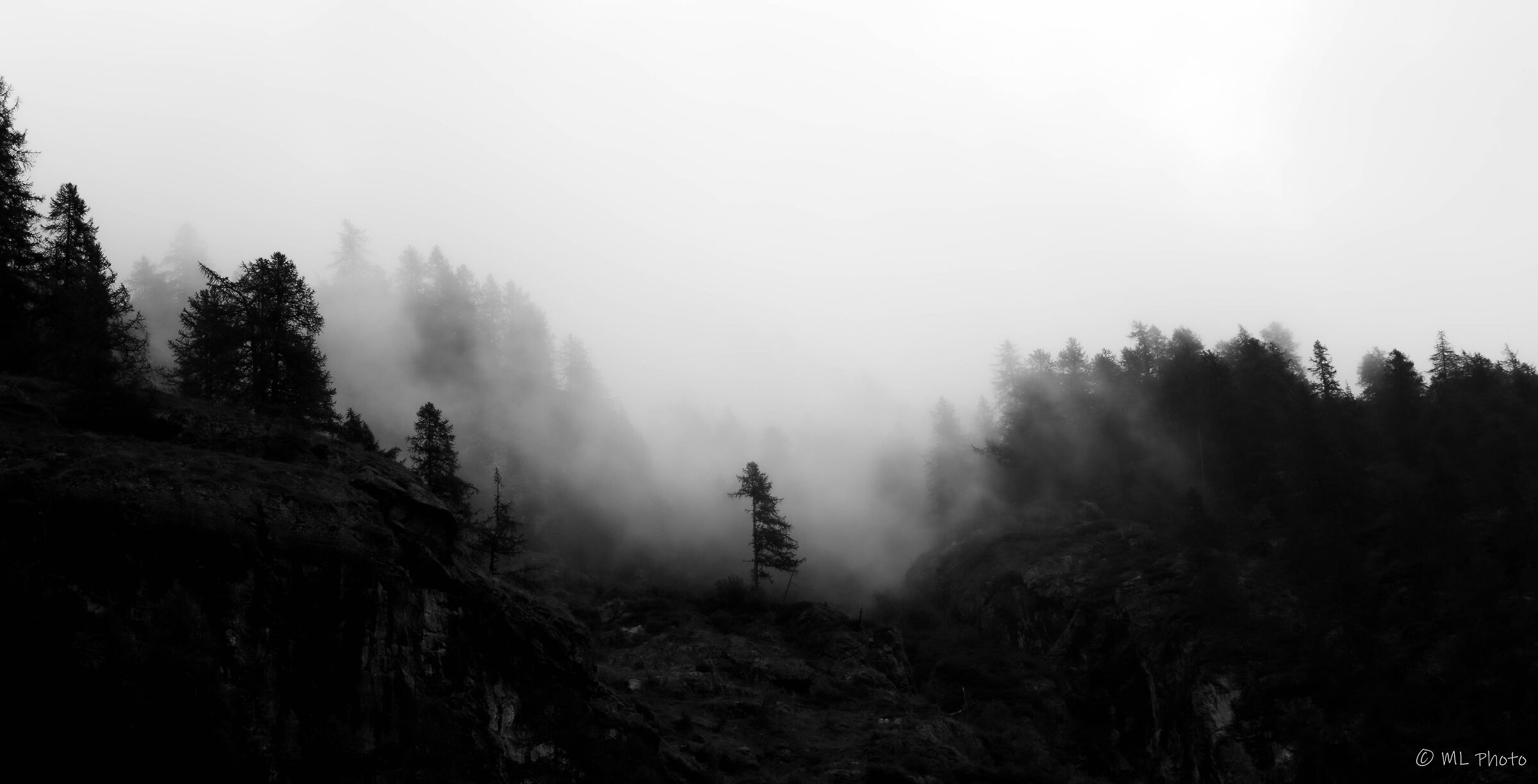 Foggy mountain