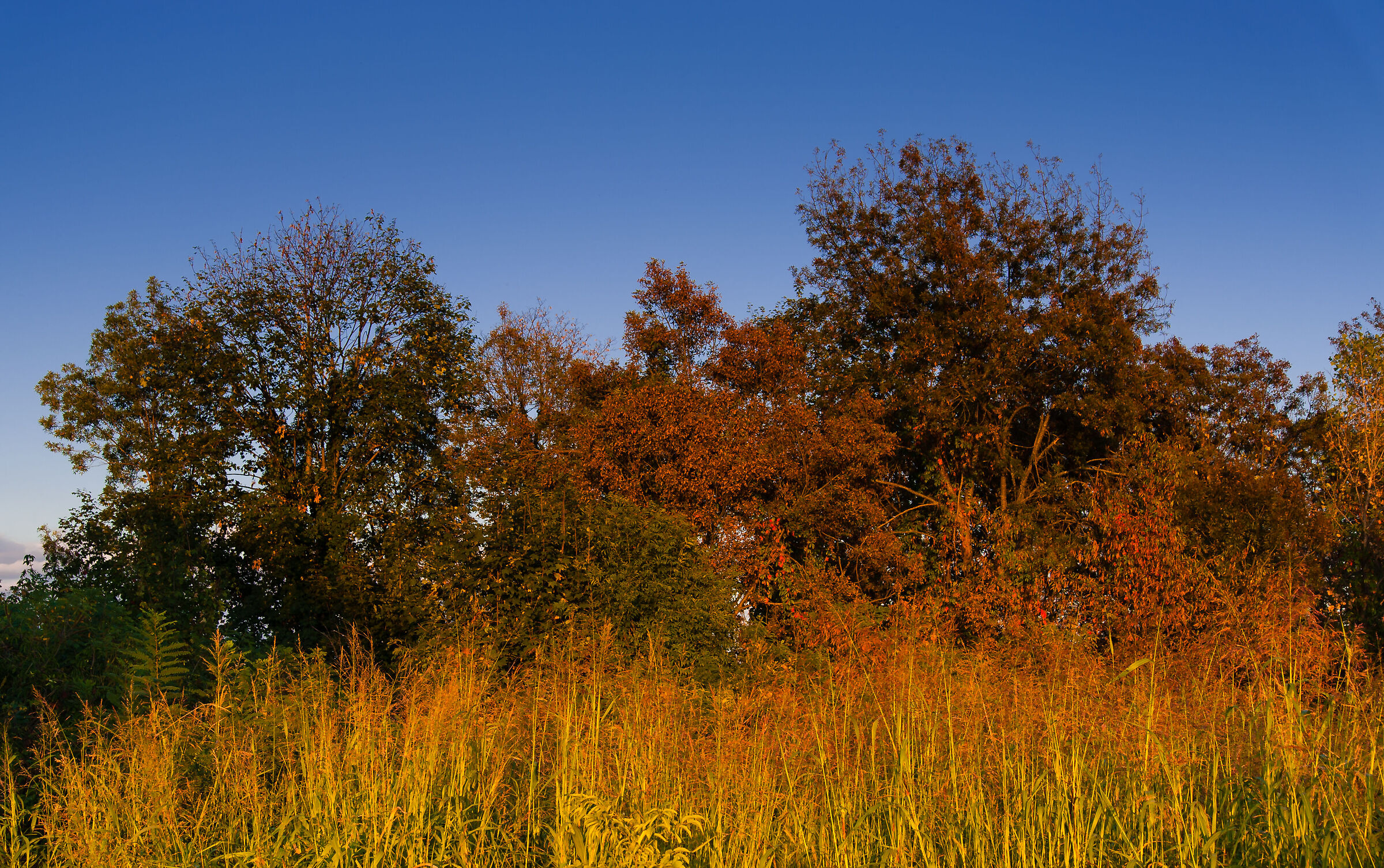primi colori d'autunno
